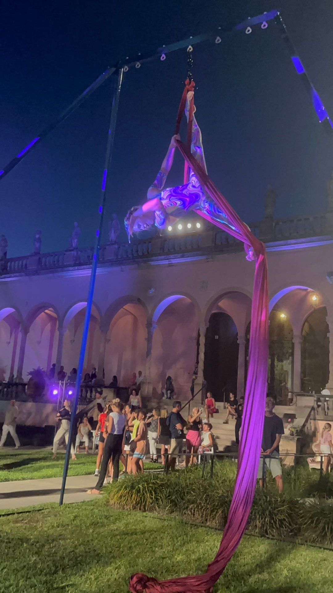 Aerial Artistry