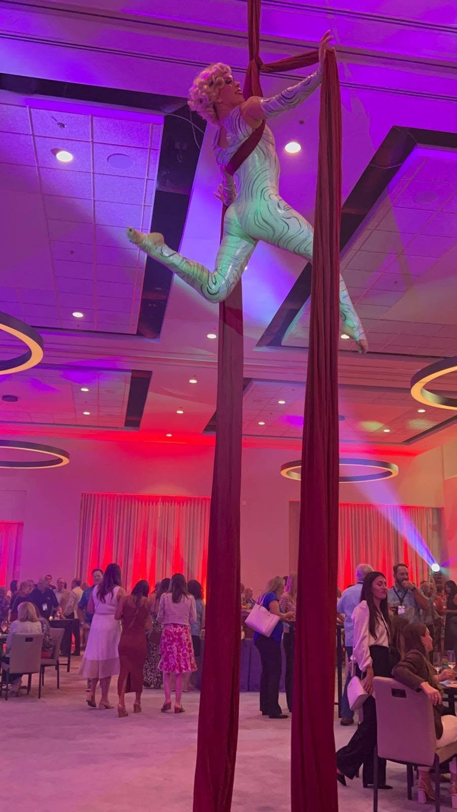 Aerial Artistry