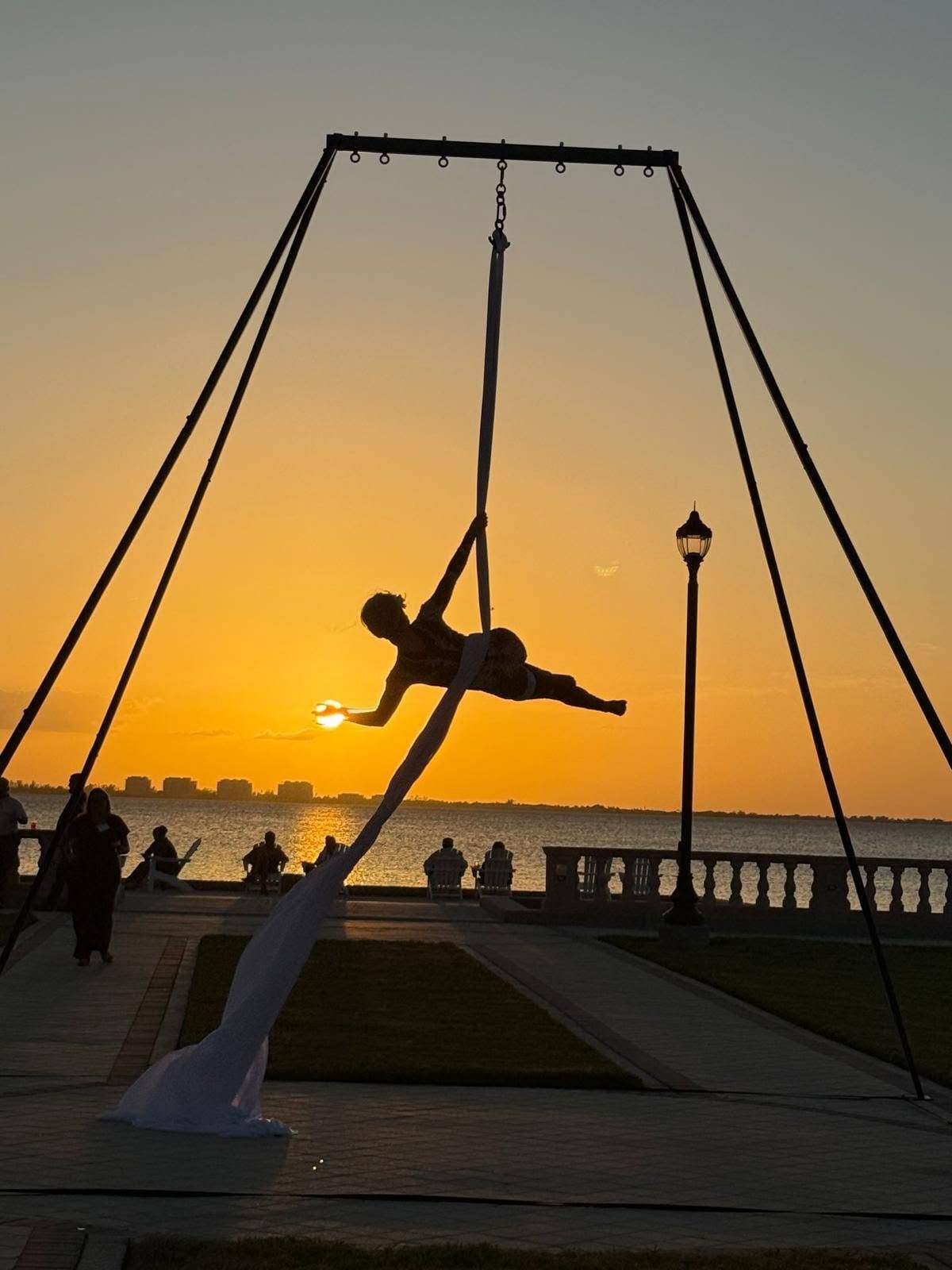 Aerial Artistry