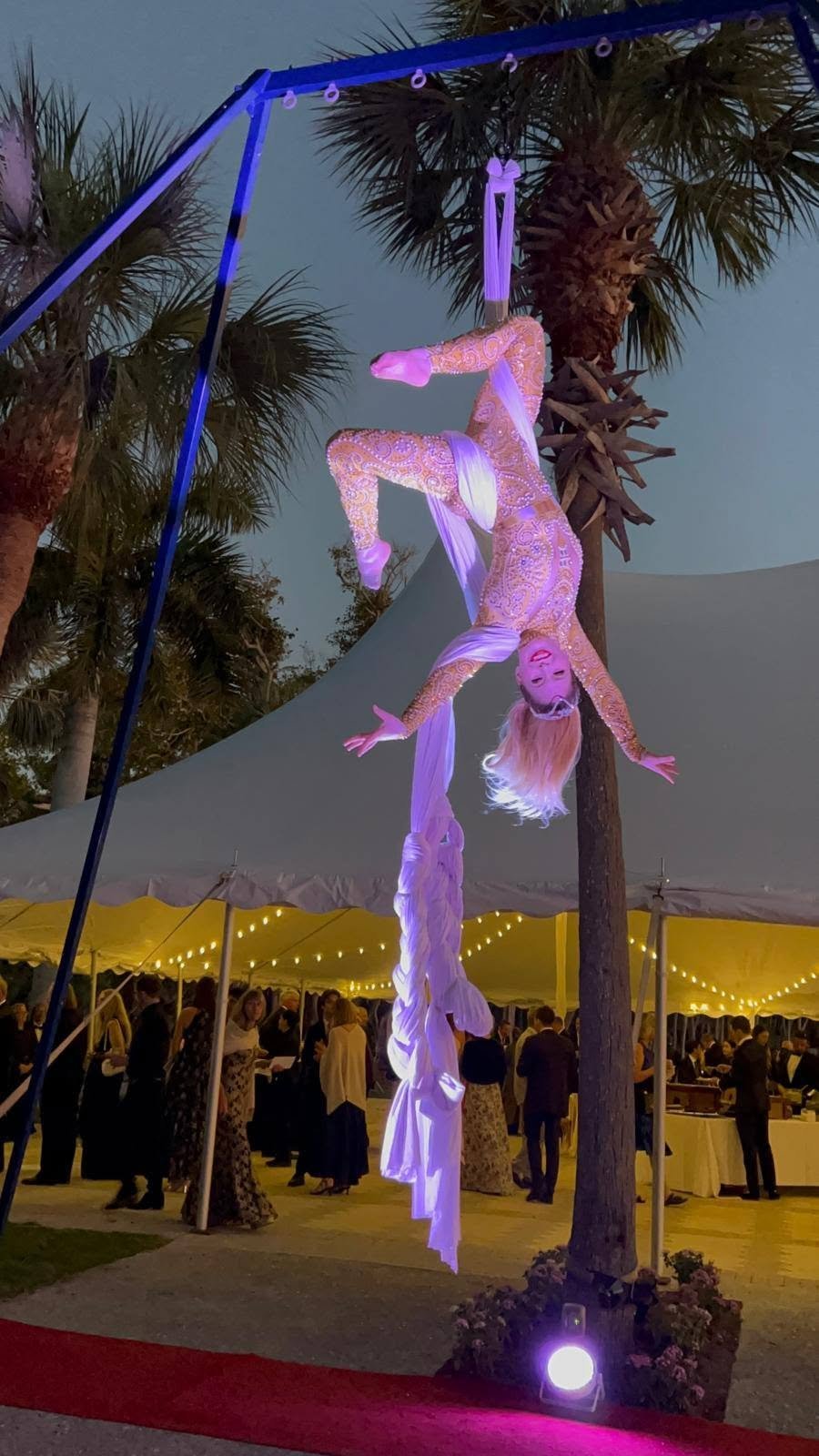 Aerial Artistry