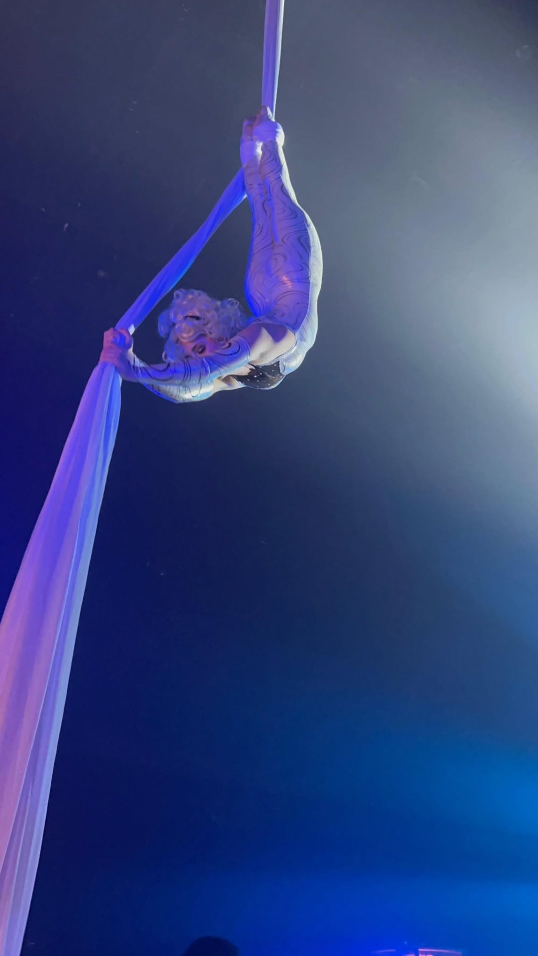 Aerial Artistry