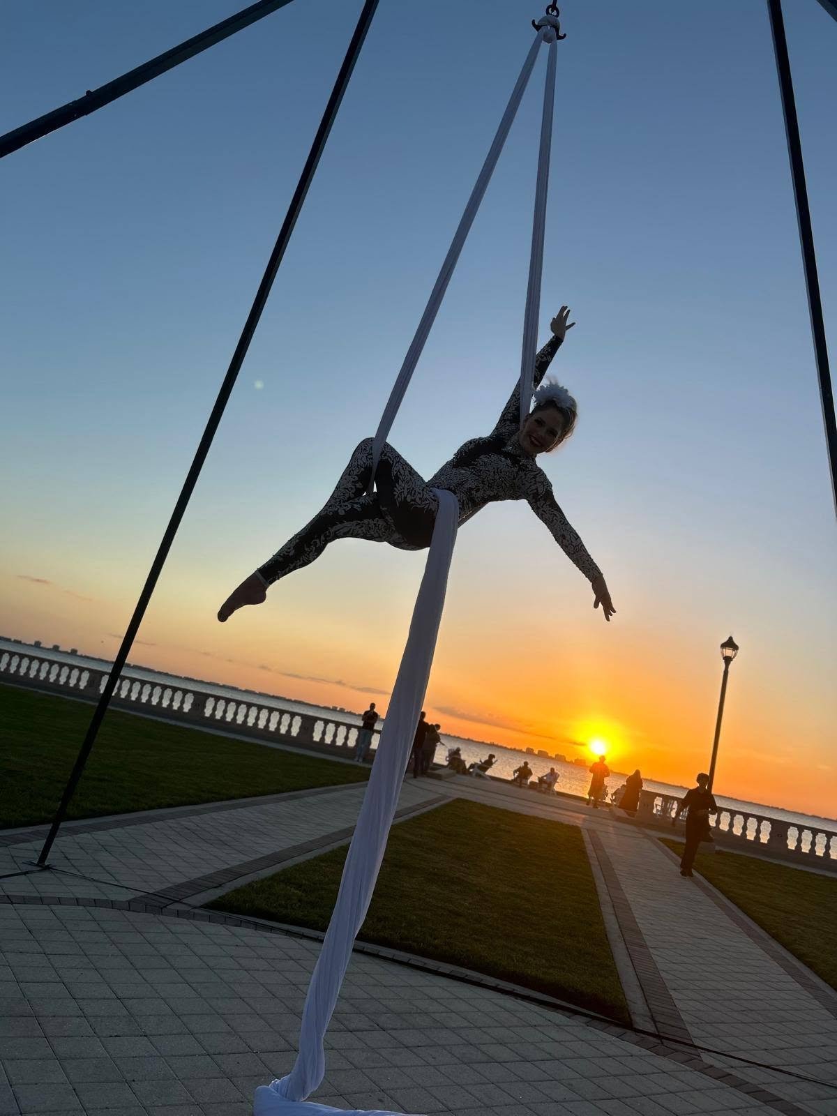 Aerial Artistry