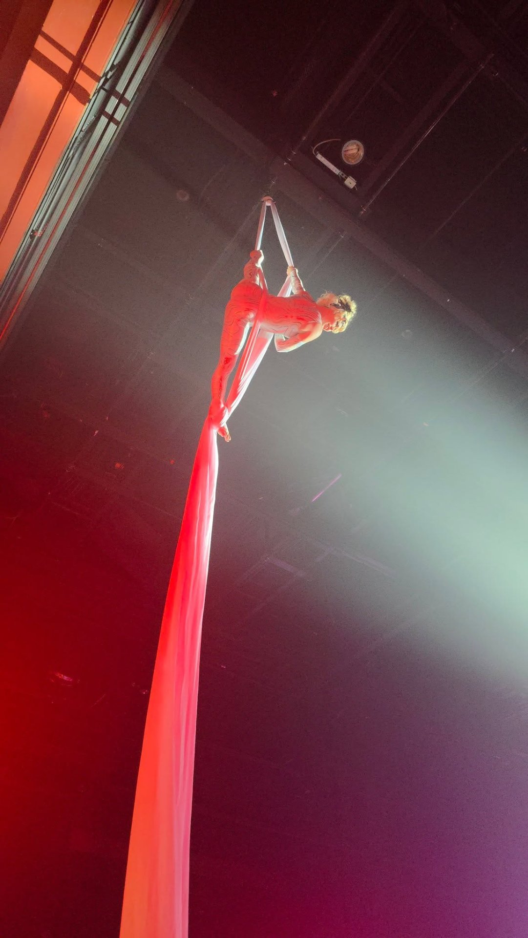Aerial Artistry