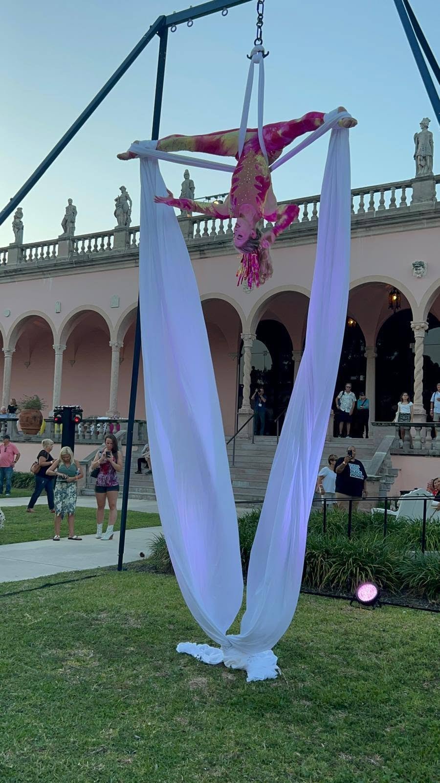 Aerial Artistry