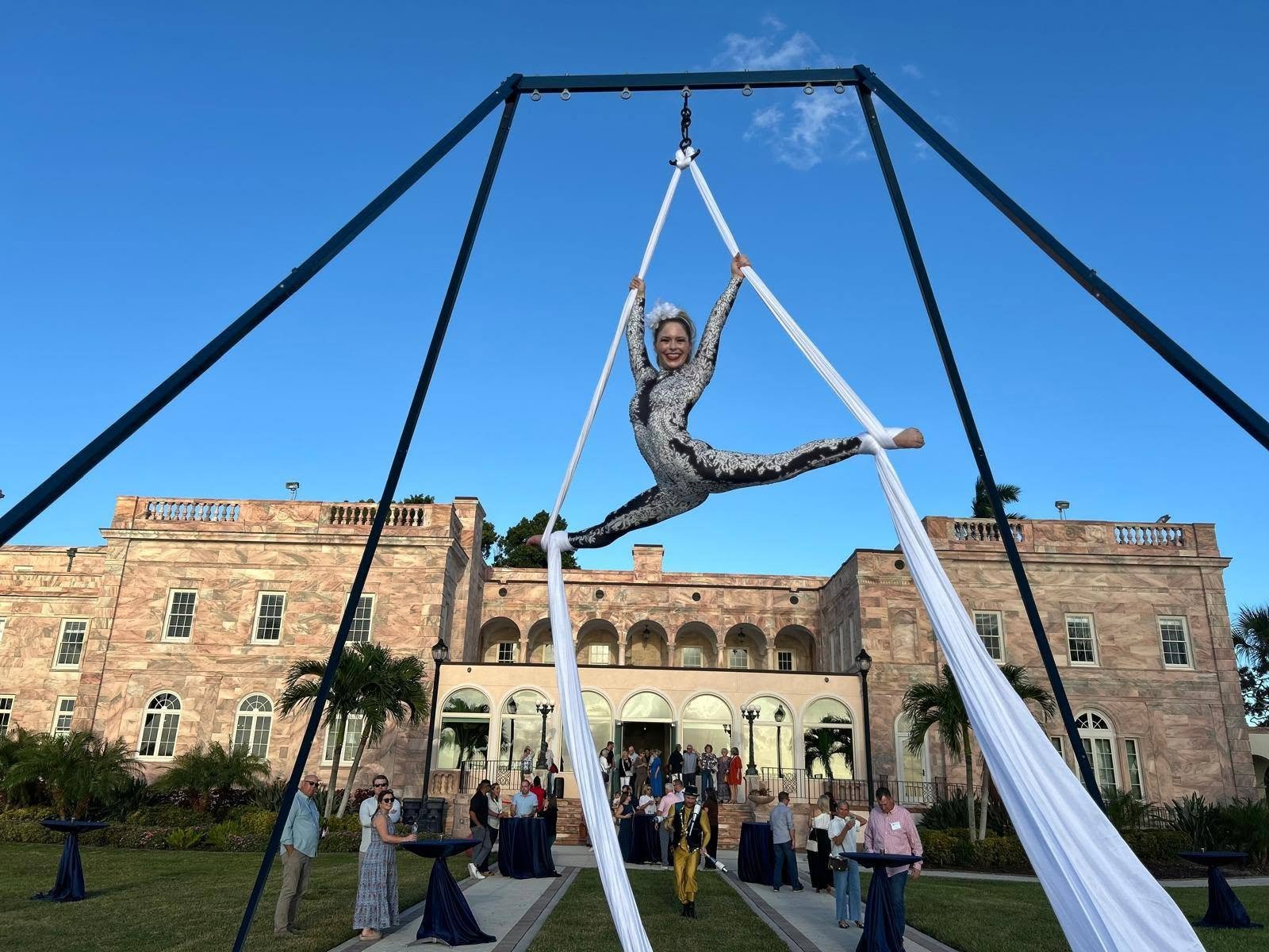 Aerial Artistry