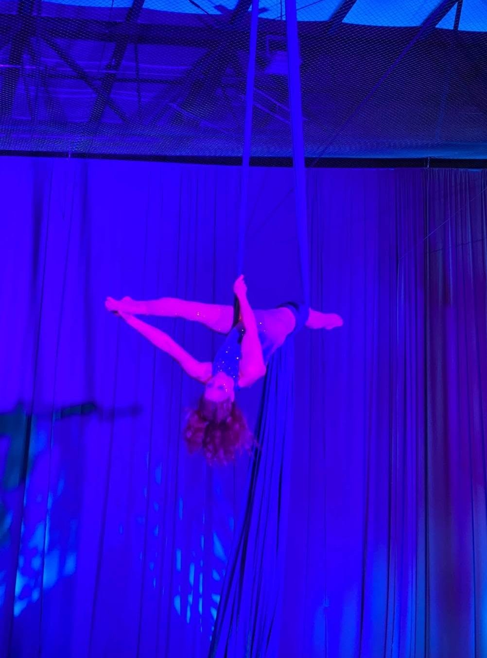 Aerial Artistry