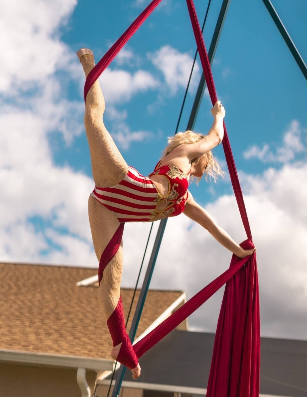 Aerial Artistry