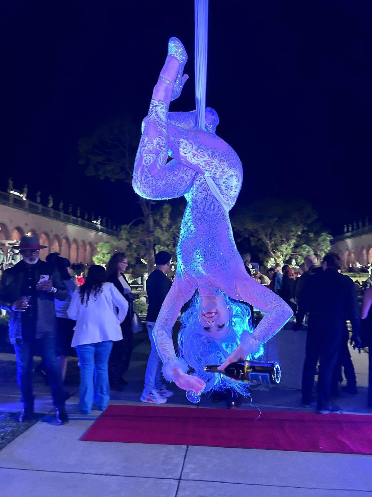 Aerial Bartending