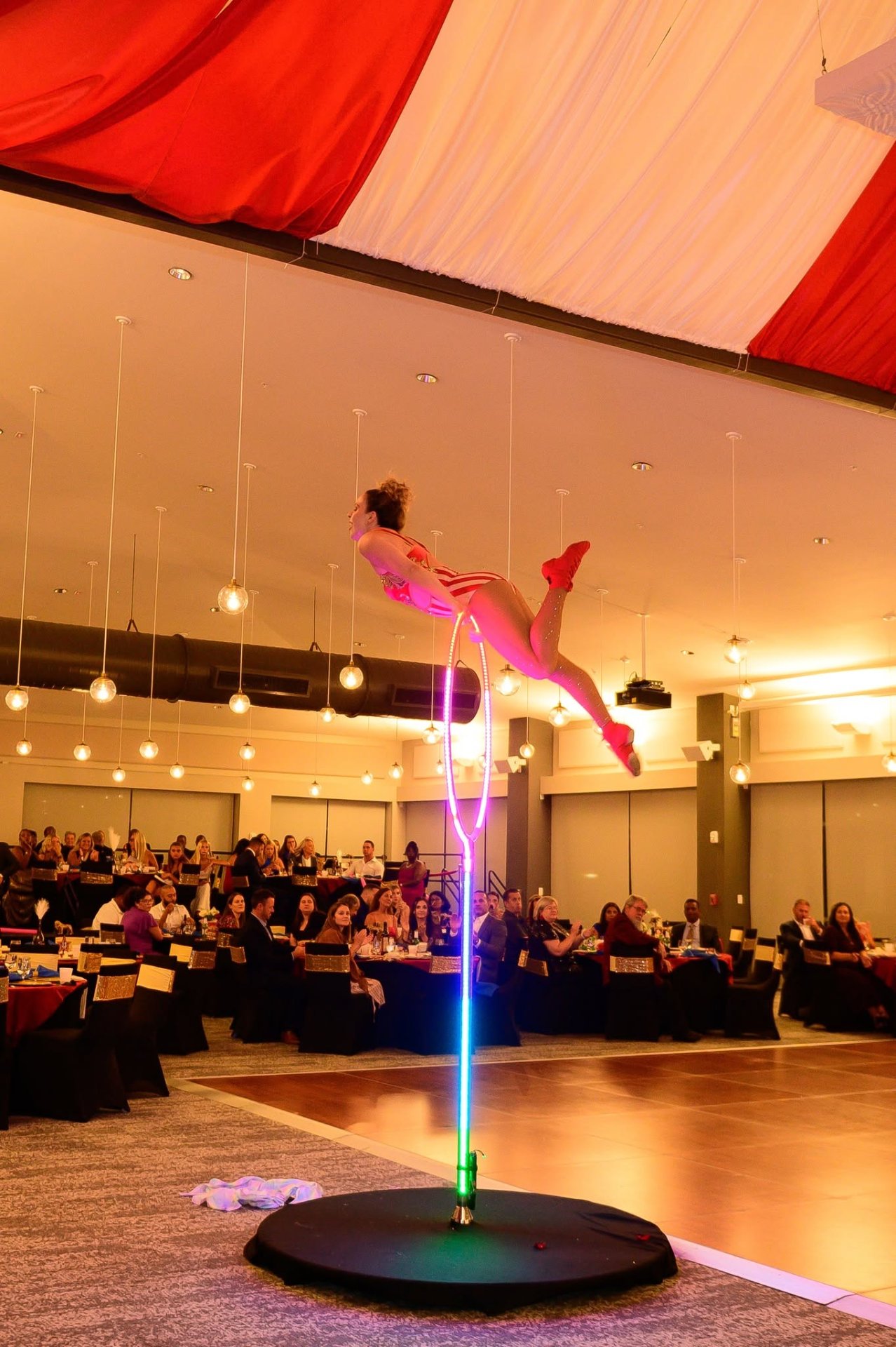 Ground Aerial
