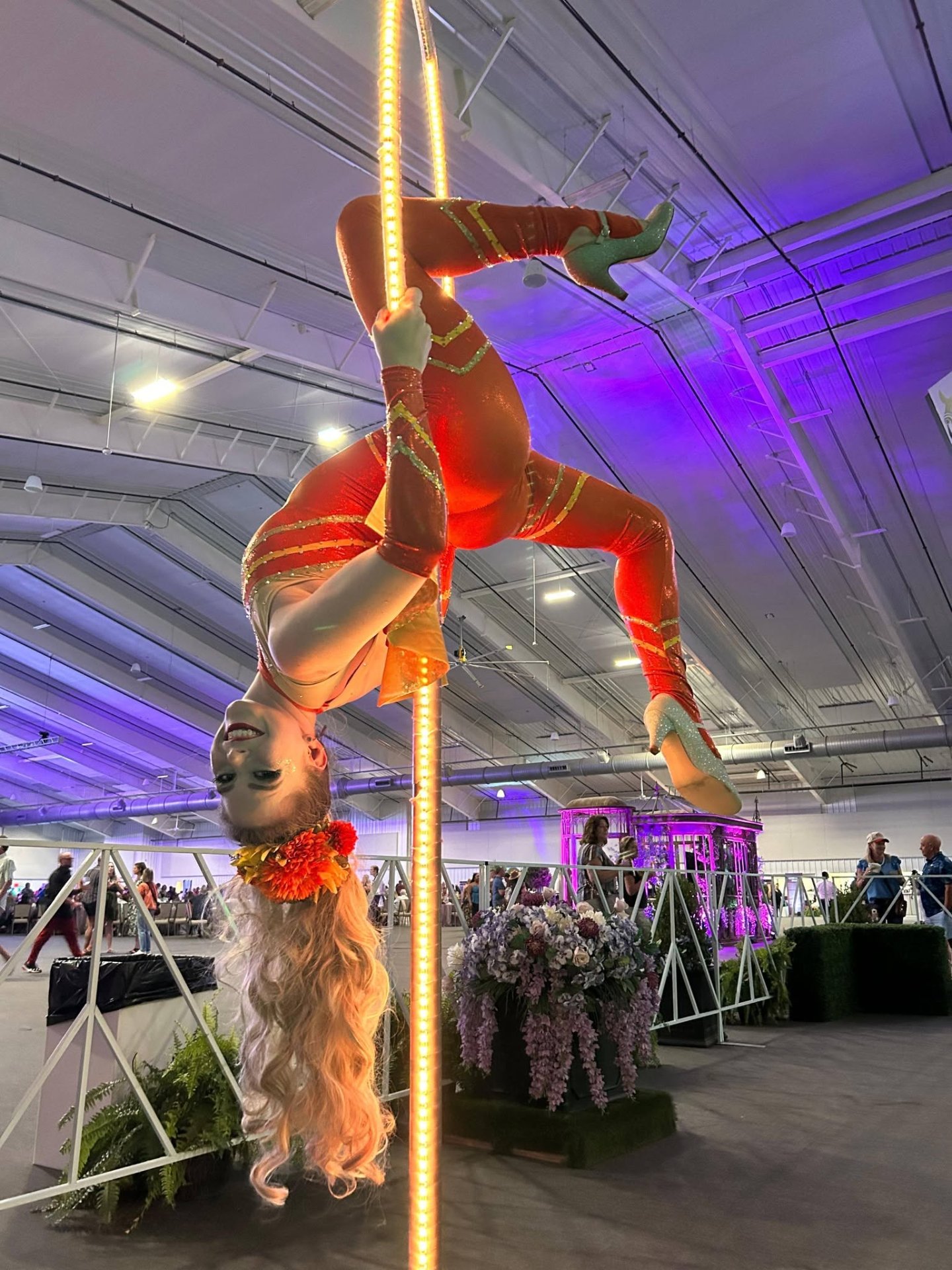 Ground Aerial