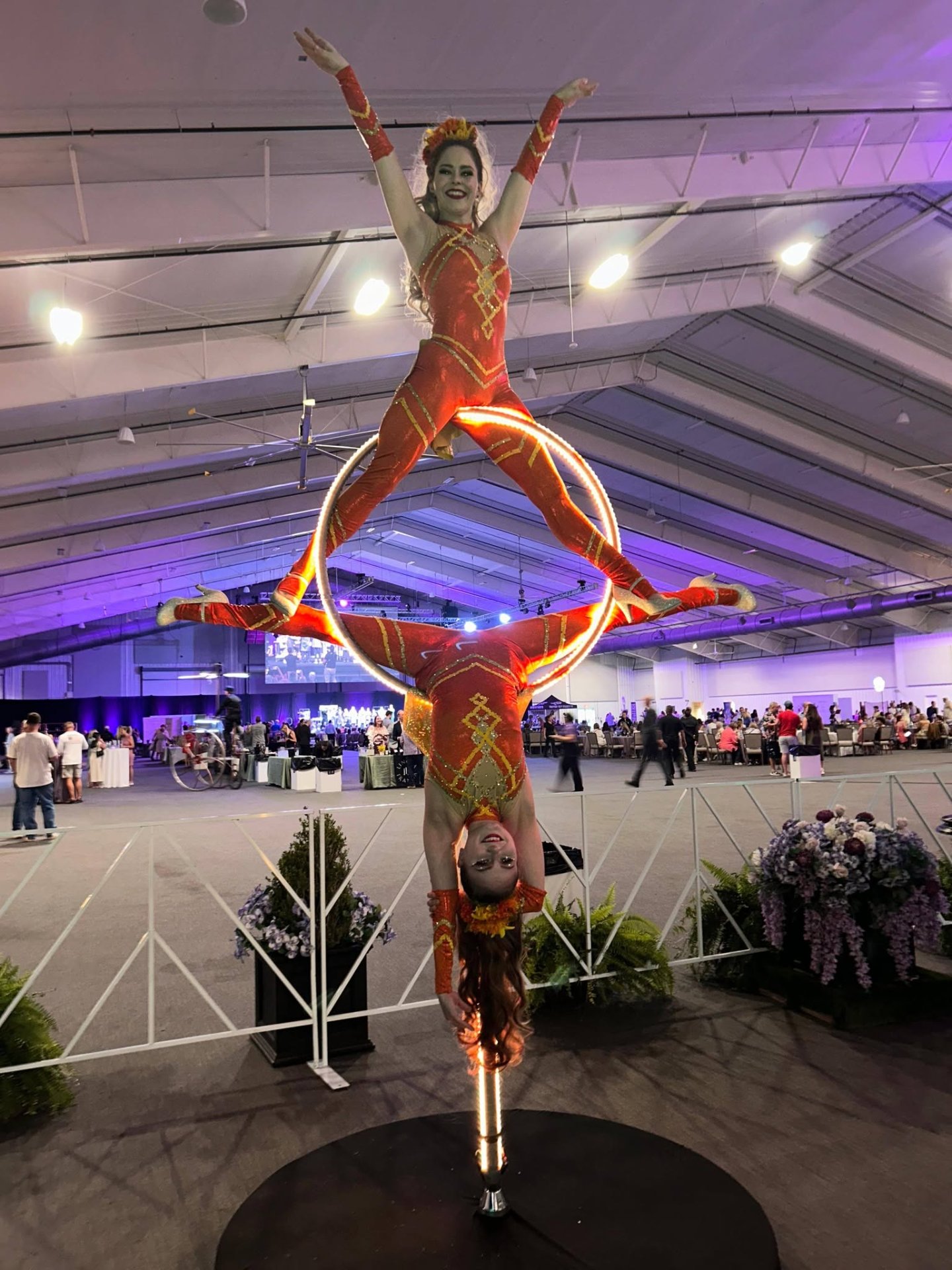 Ground Aerial