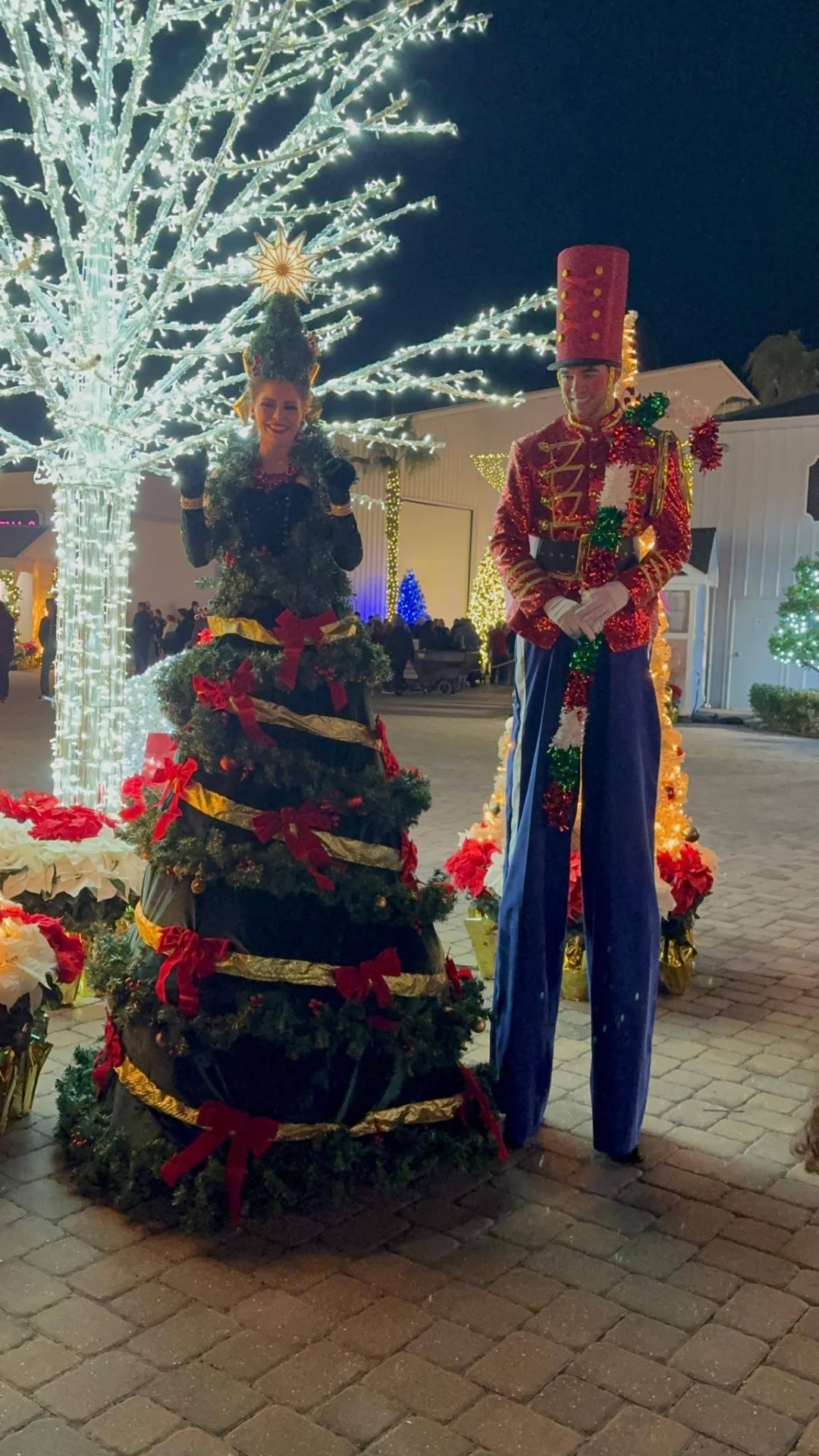 Stilts