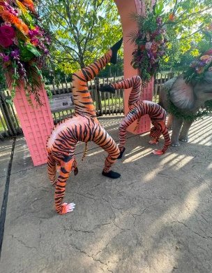 Animals
