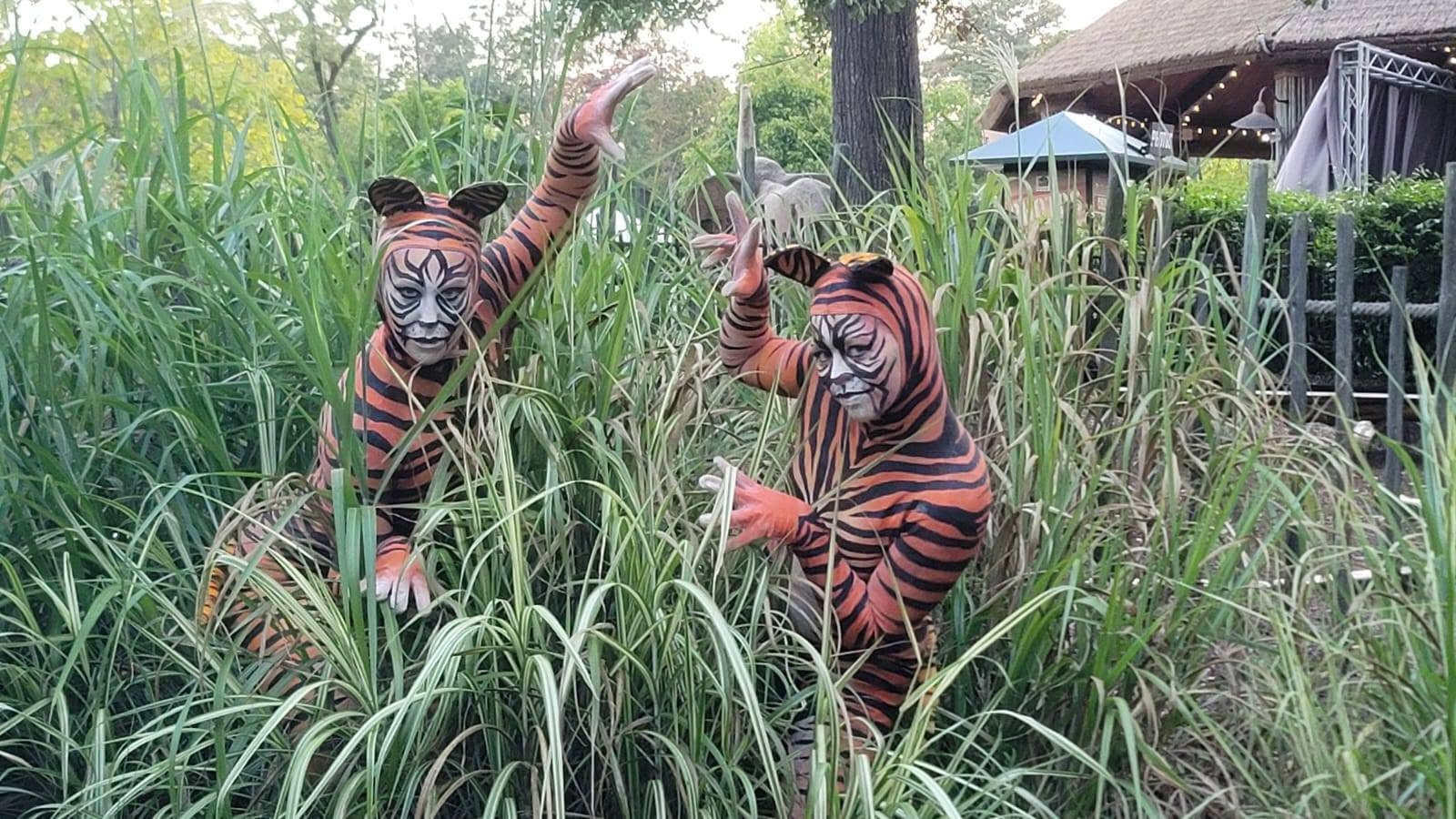 Animals