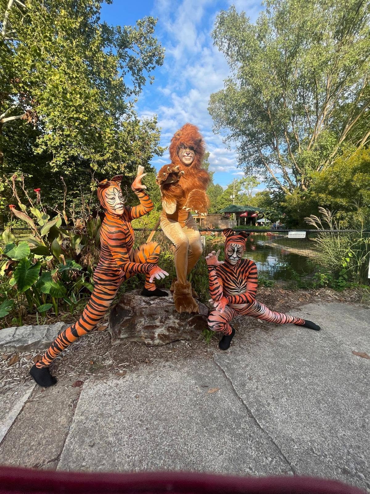 Animals