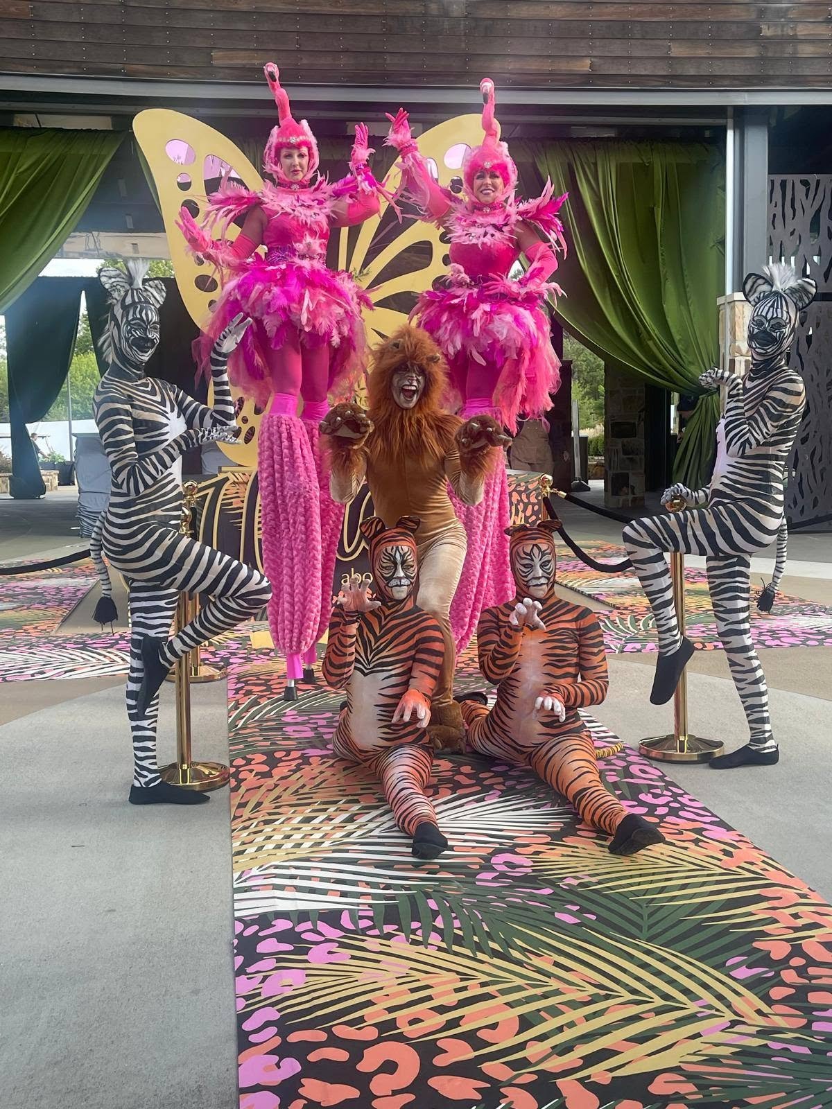 Animals