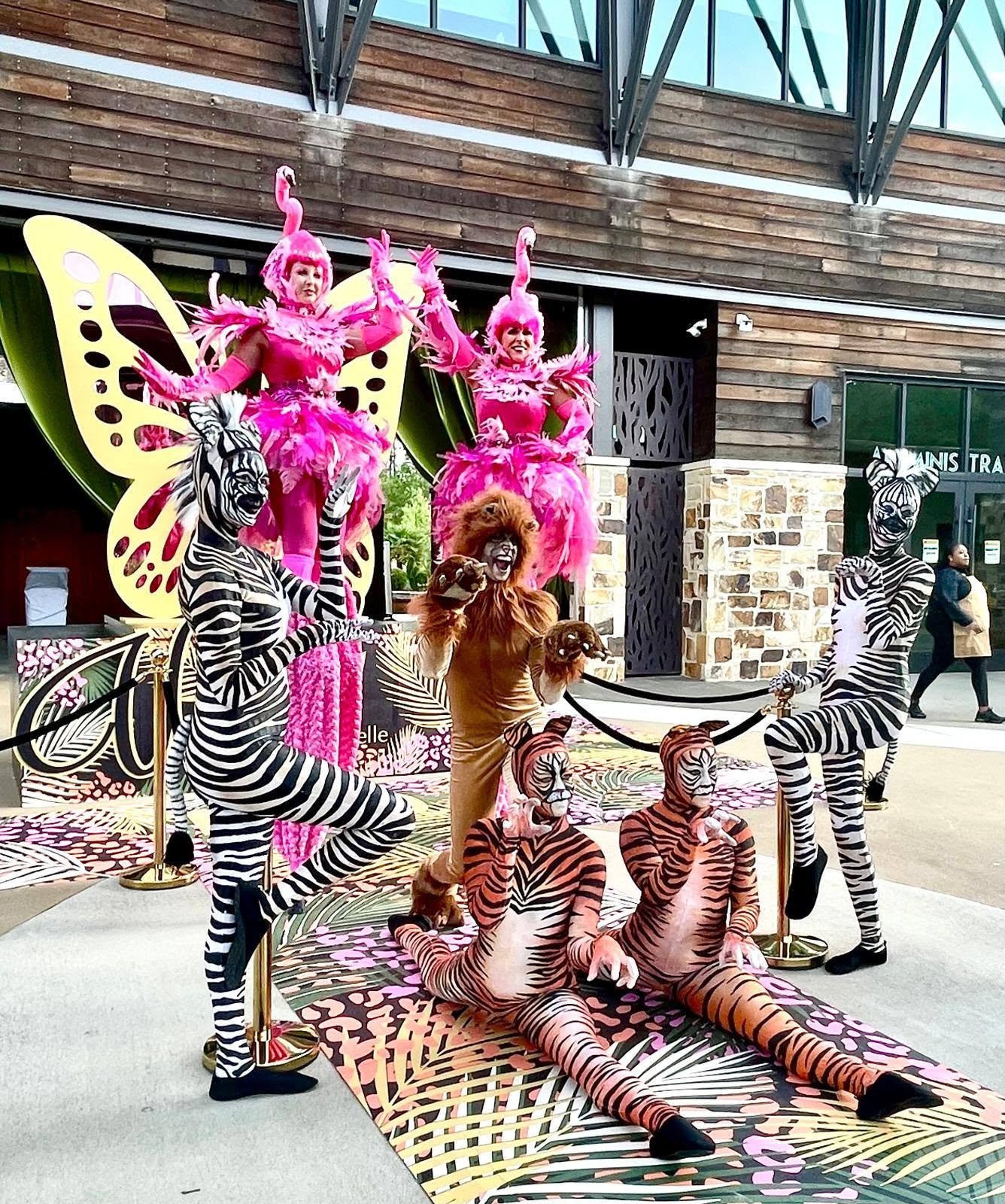 Animals
