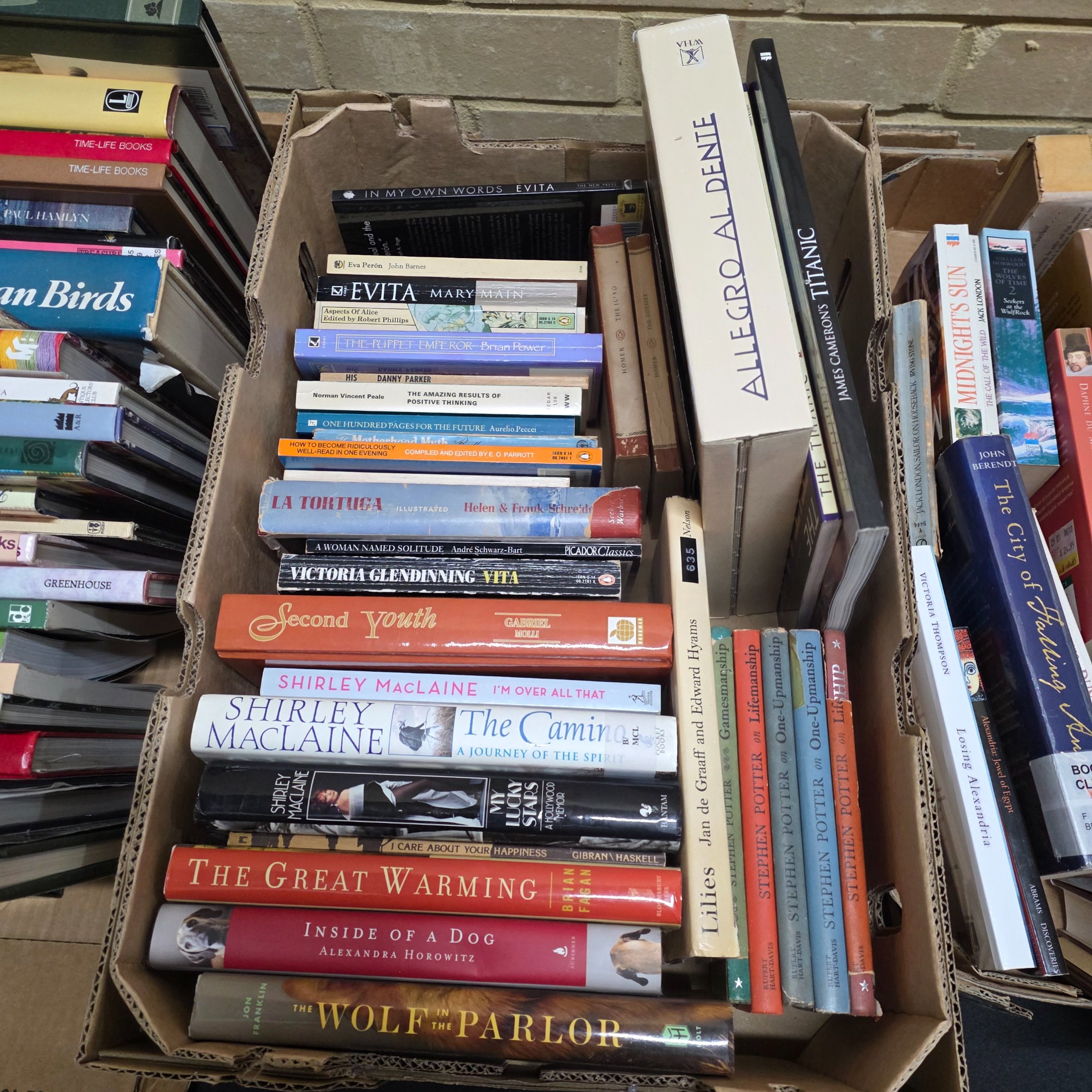 A diverse collection of pre-owned books spanning various genres, including fiction, non-fiction, nature, craft, and history, presented in several cardboard boxes. - View 3