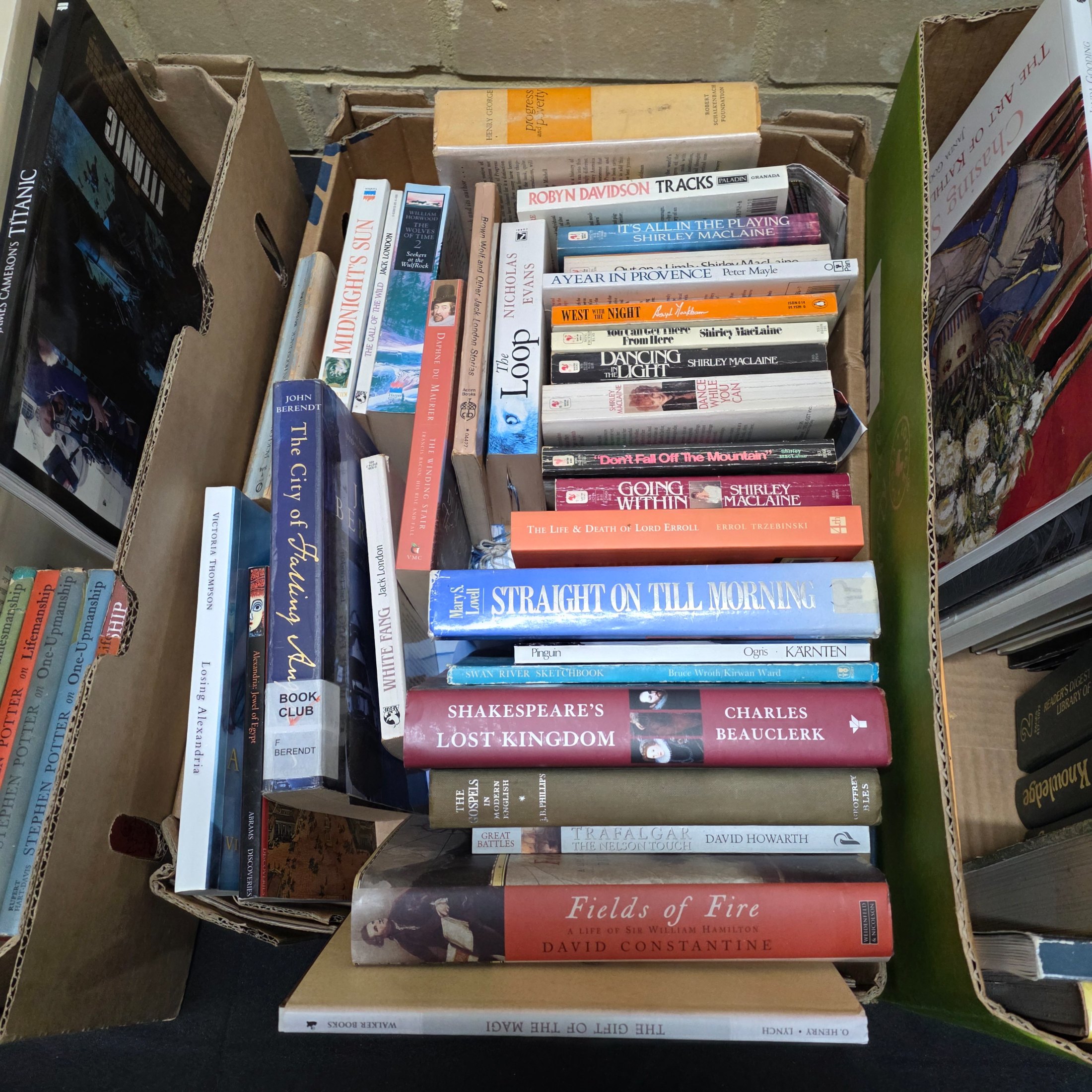 A diverse collection of pre-owned books spanning various genres, including fiction, non-fiction, nature, craft, and history, presented in several cardboard boxes. - View 4