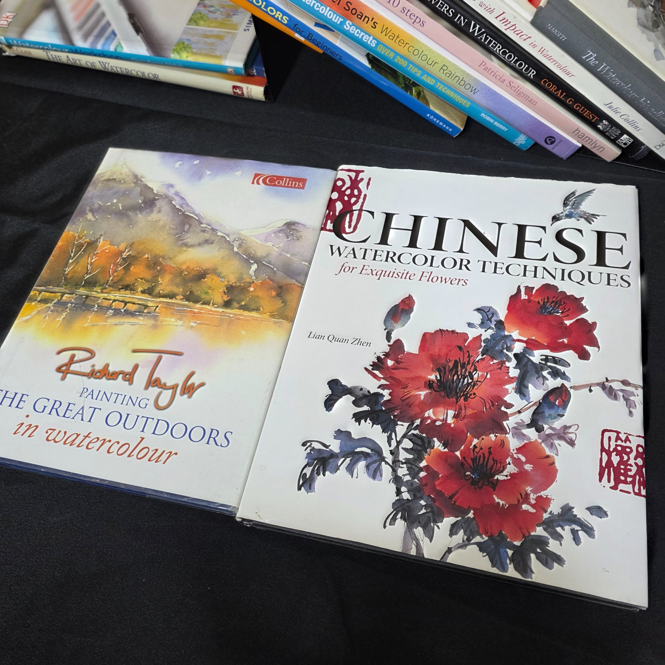 A comprehensive collection of approximately 15 books dedicated to the art and techniques of watercolor painting, featuring various instructional guides and authors. - View 4
