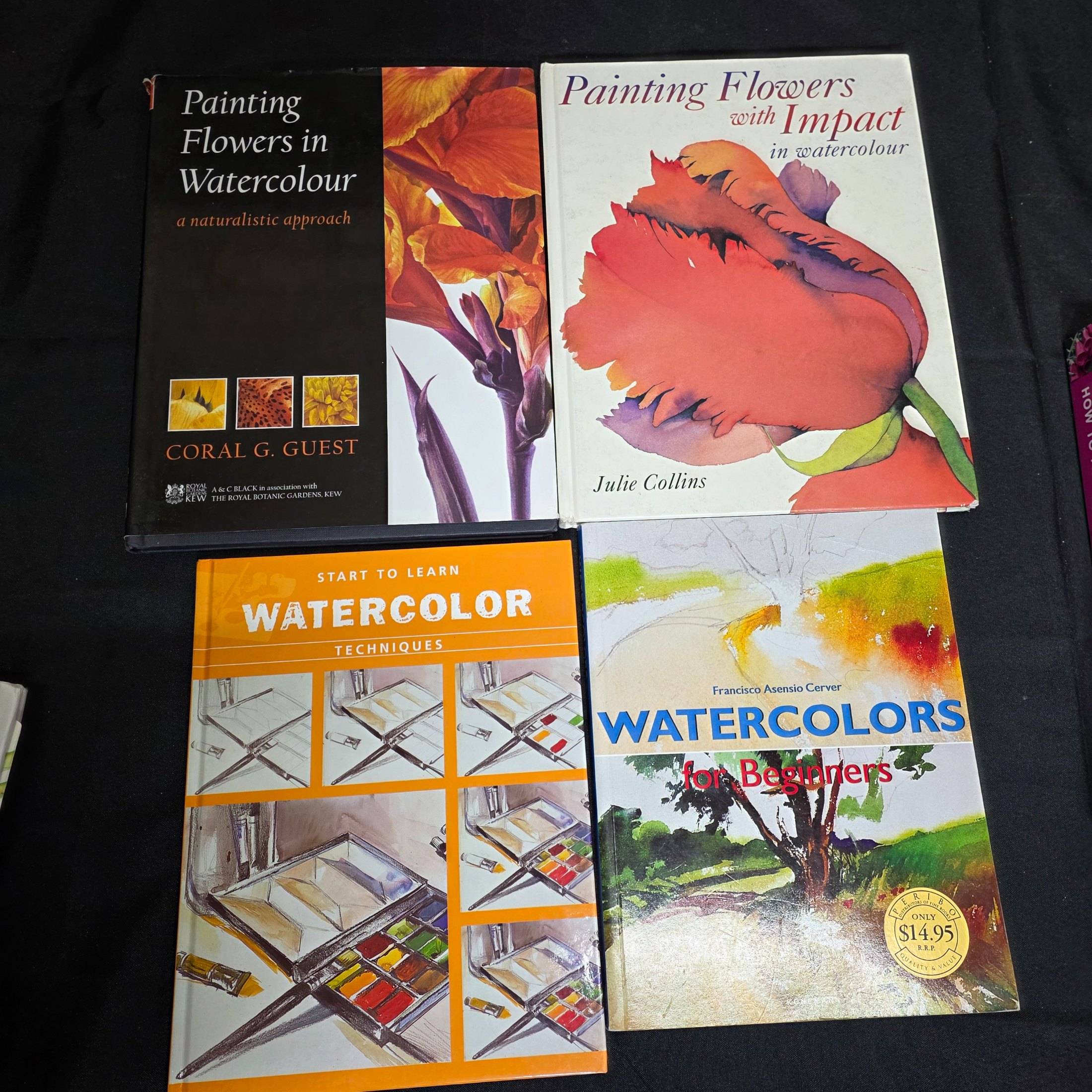 A comprehensive collection of approximately 15 books dedicated to the art and techniques of watercolor painting, featuring various instructional guides and authors. - View 5
