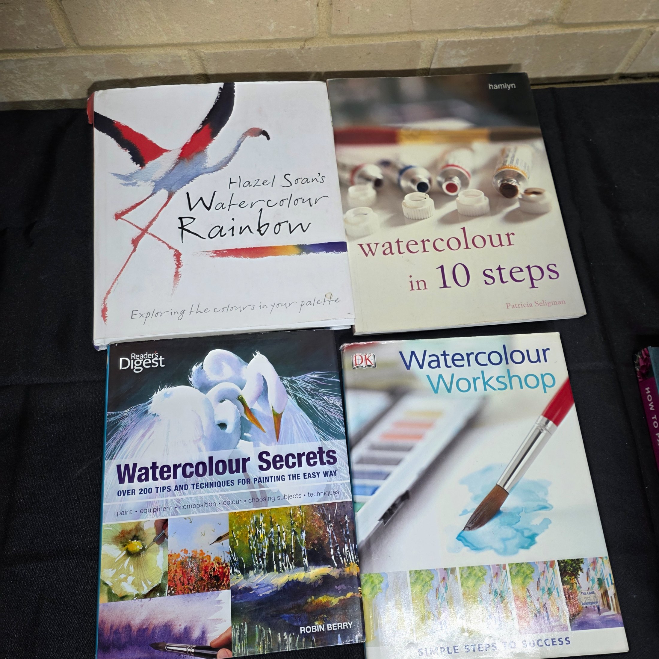 A comprehensive collection of approximately 15 books dedicated to the art and techniques of watercolor painting, featuring various instructional guides and authors. - View 6