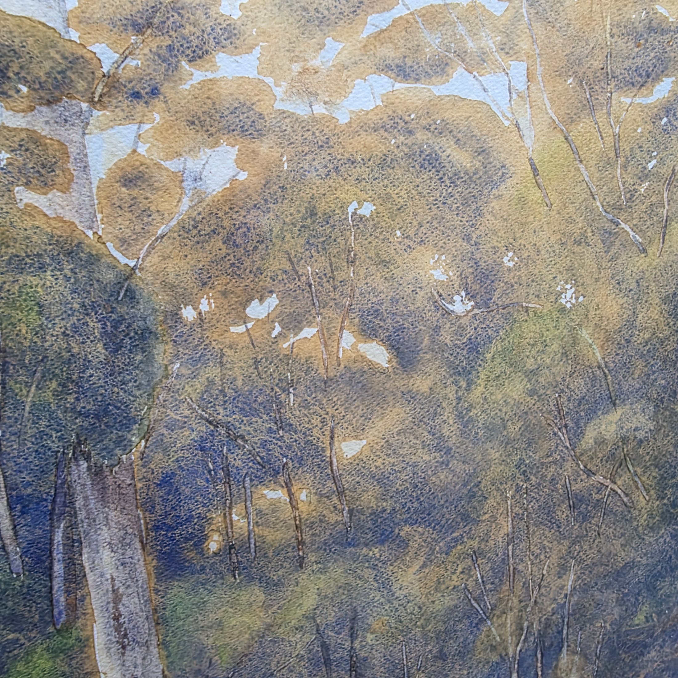 A framed original watercolour painting depicting a tranquil Australian bush scene with a dirt road winding through tall eucalypt trees, signed 'N. A. H.' and dated 1984. - View 4