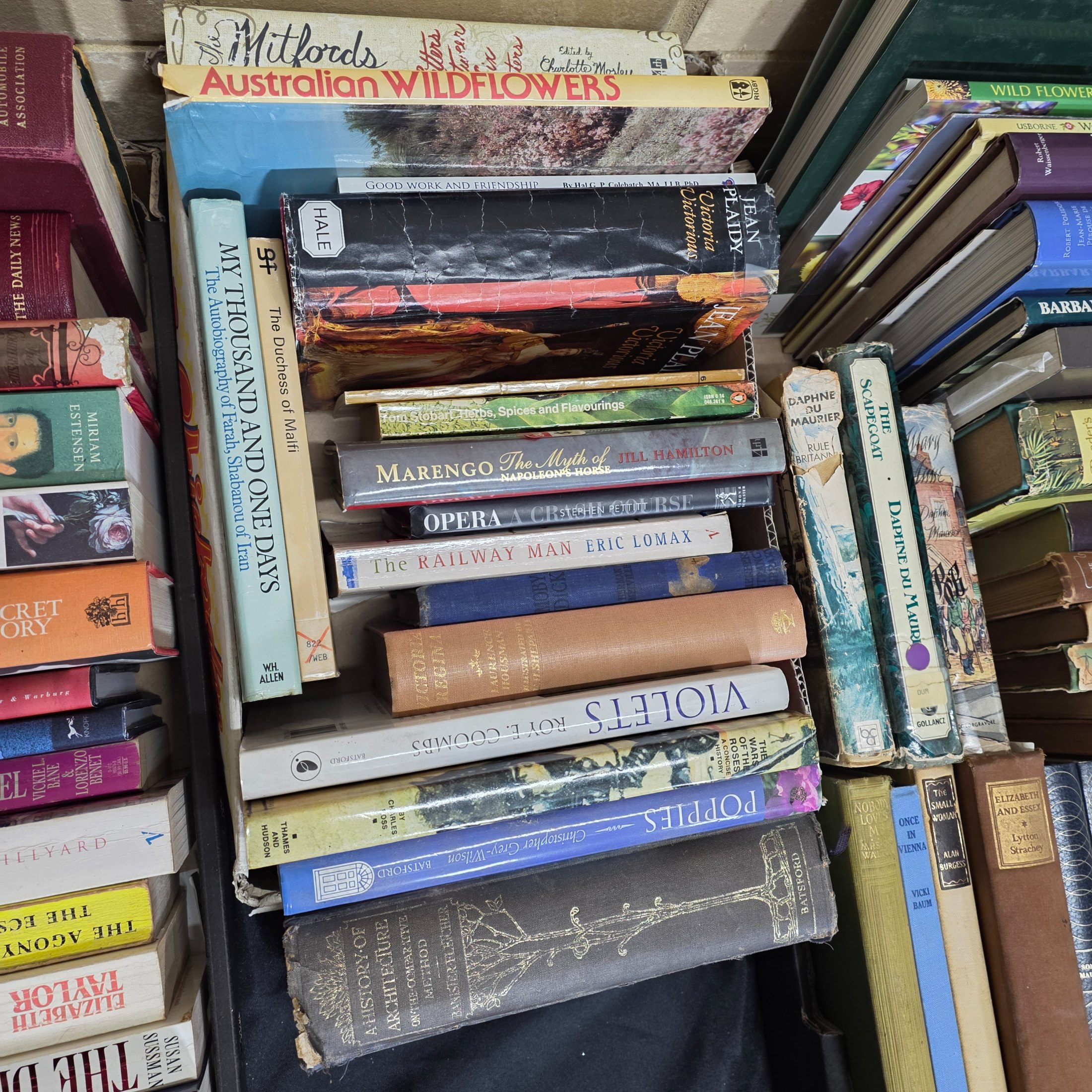 Large Lot of Assorted Books, Mixed Genres and Eras — Lot 157, photograph 3