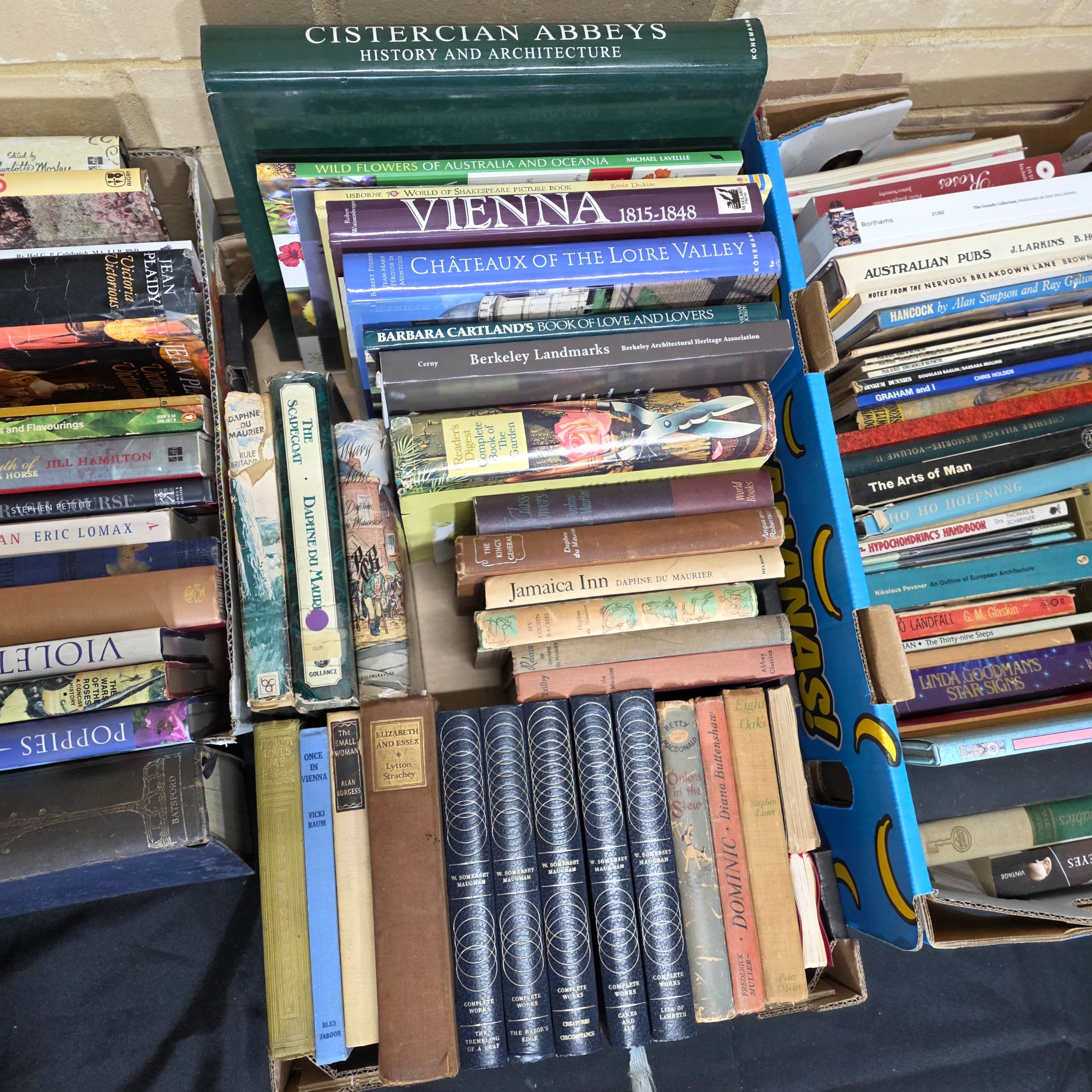 Large Lot of Assorted Books, Mixed Genres and Eras — Lot 157, photograph 4