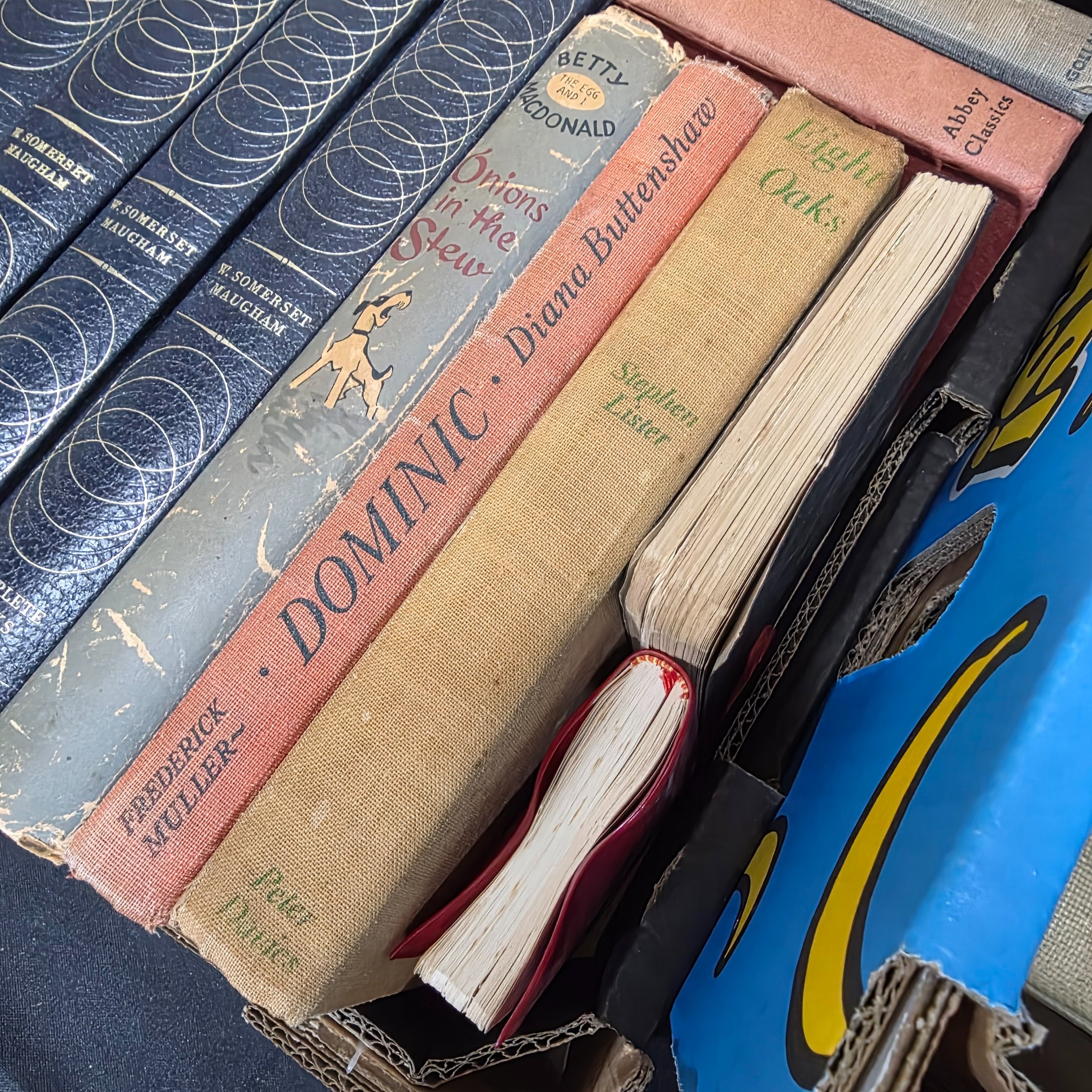 Large Lot of Assorted Books, Mixed Genres and Eras — Lot 157, photograph 8