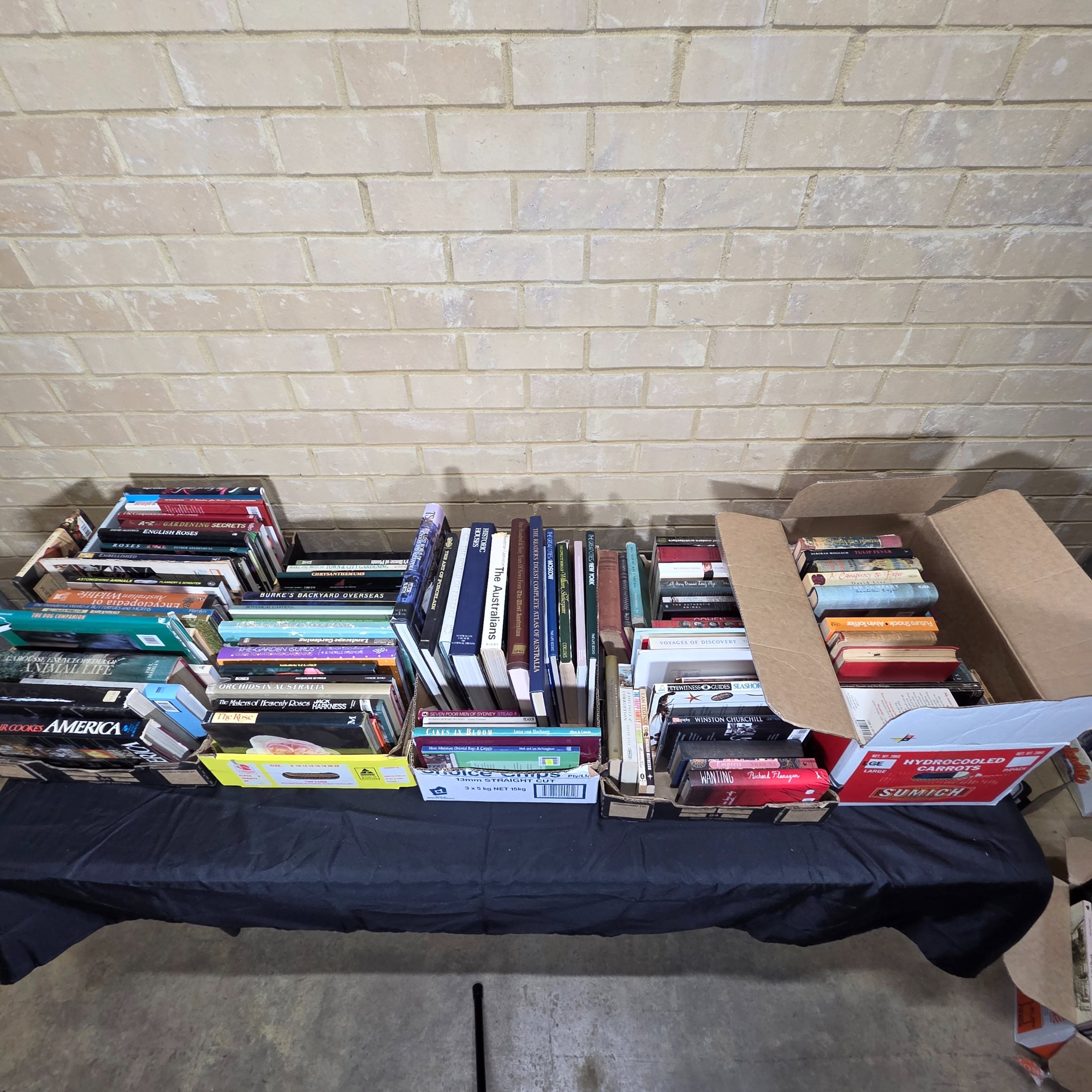 Large Lot of Assorted Hardcover and Paperback Books (5 boxes) — Lot 159, photograph 1
