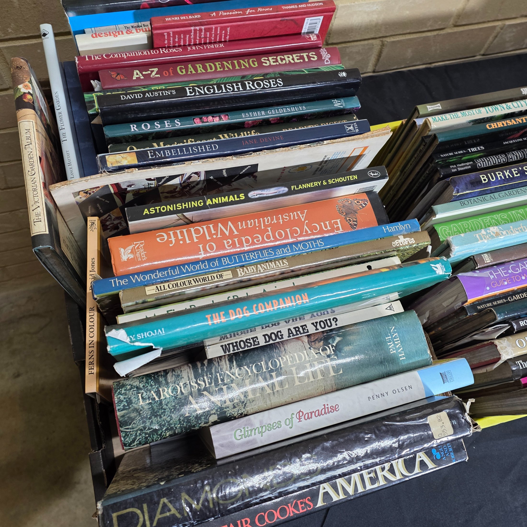 Large Lot of Assorted Hardcover and Paperback Books (5 boxes) — Lot 159, photograph 2