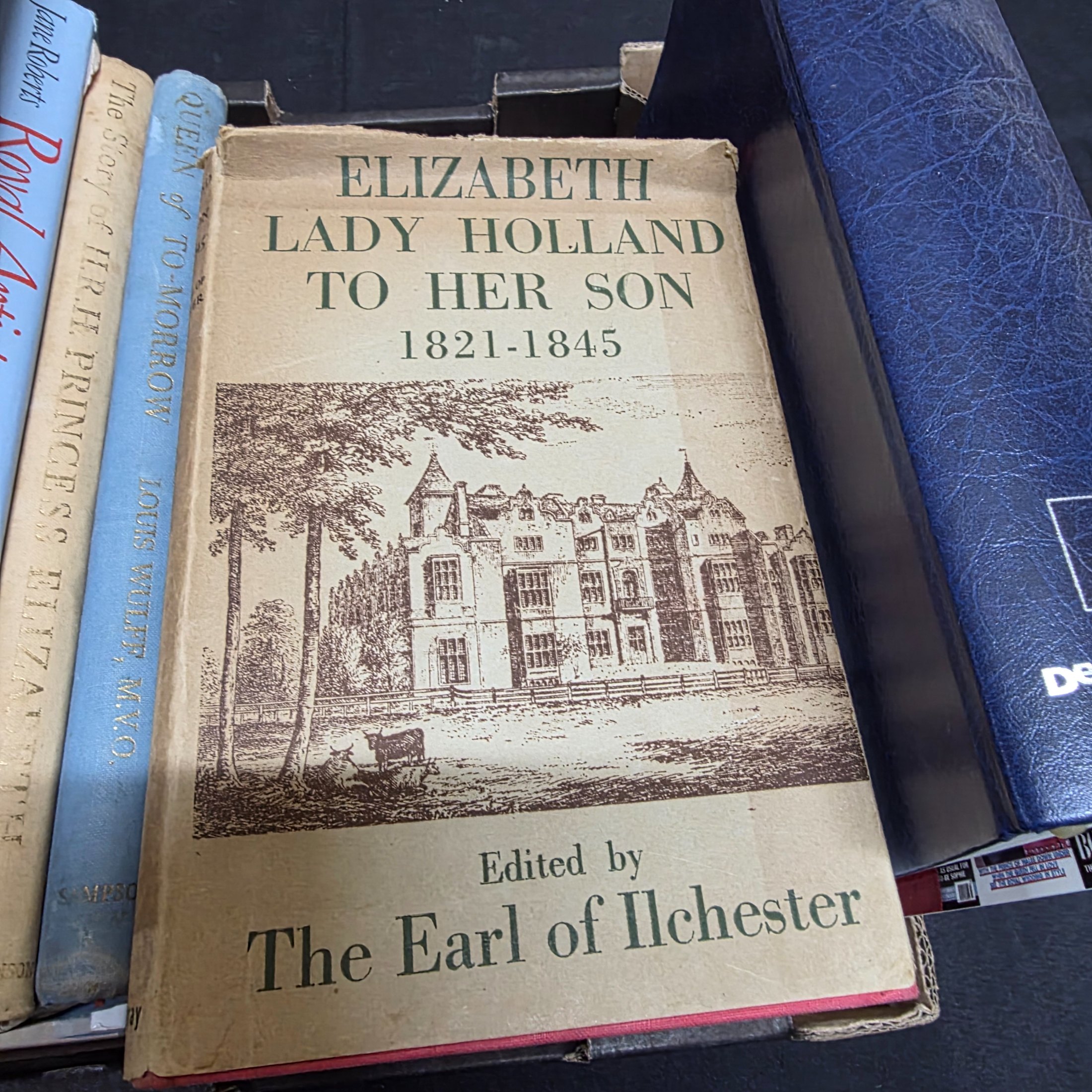 A cardboard box filled with approximately two dozen assorted books primarily focused on British royalty, including biographies of Princess Diana and historical accounts of castles and queens. - View 6