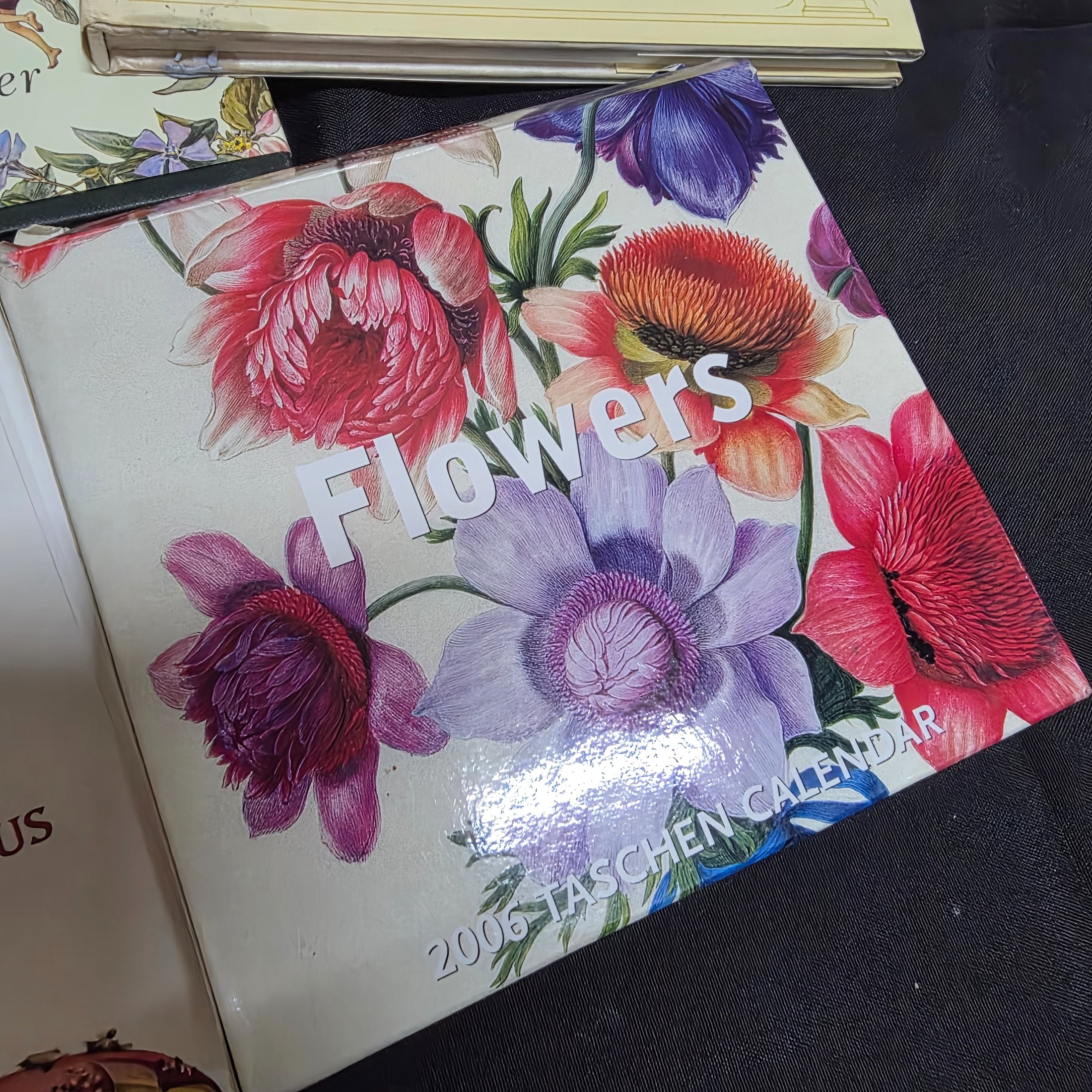 Lot of 6 Nature, Fairy, and Fantasy-Themed Books and Calendar — Lot 168, photograph 5