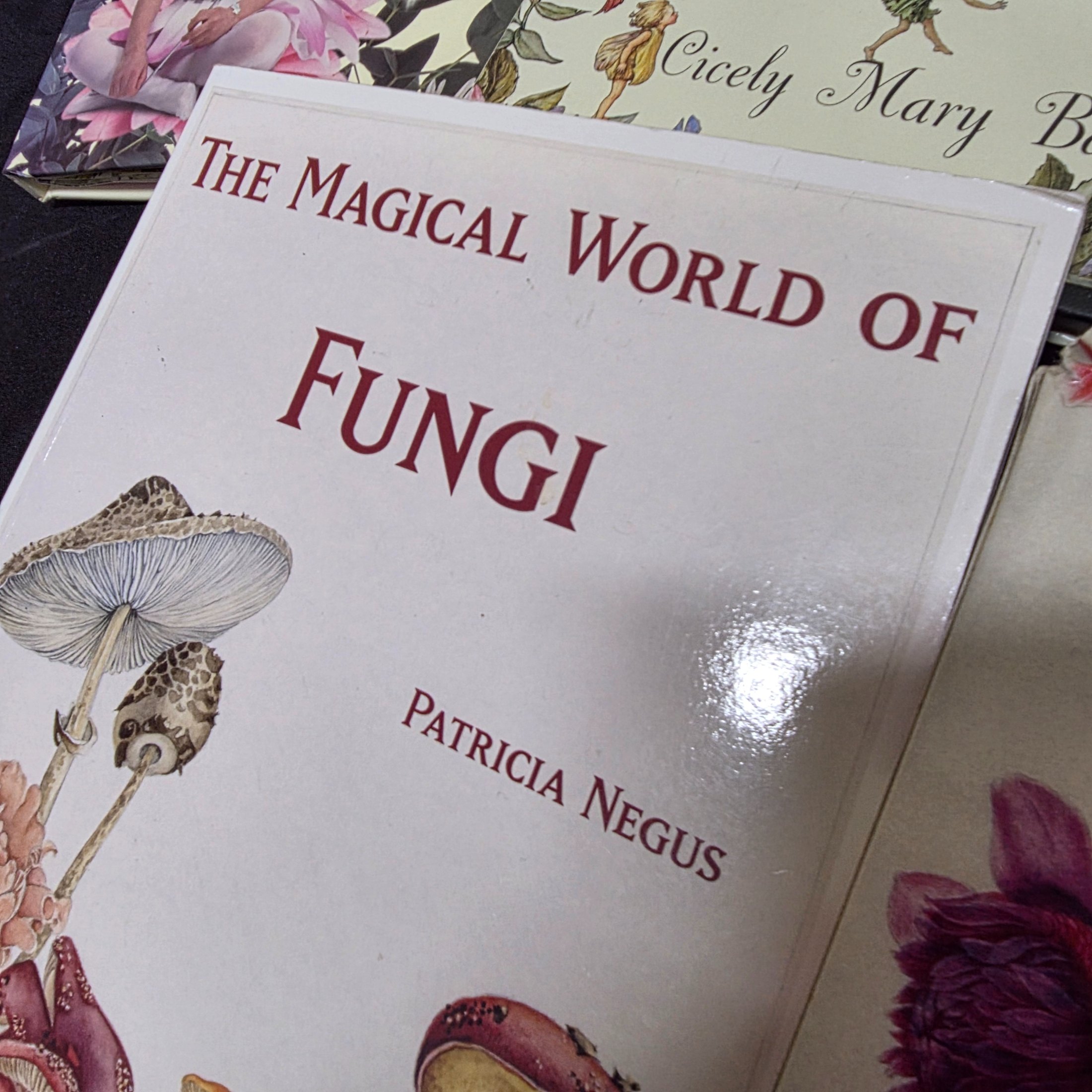 Lot of 6 Nature, Fairy, and Fantasy-Themed Books and Calendar — Lot 168, photograph 6