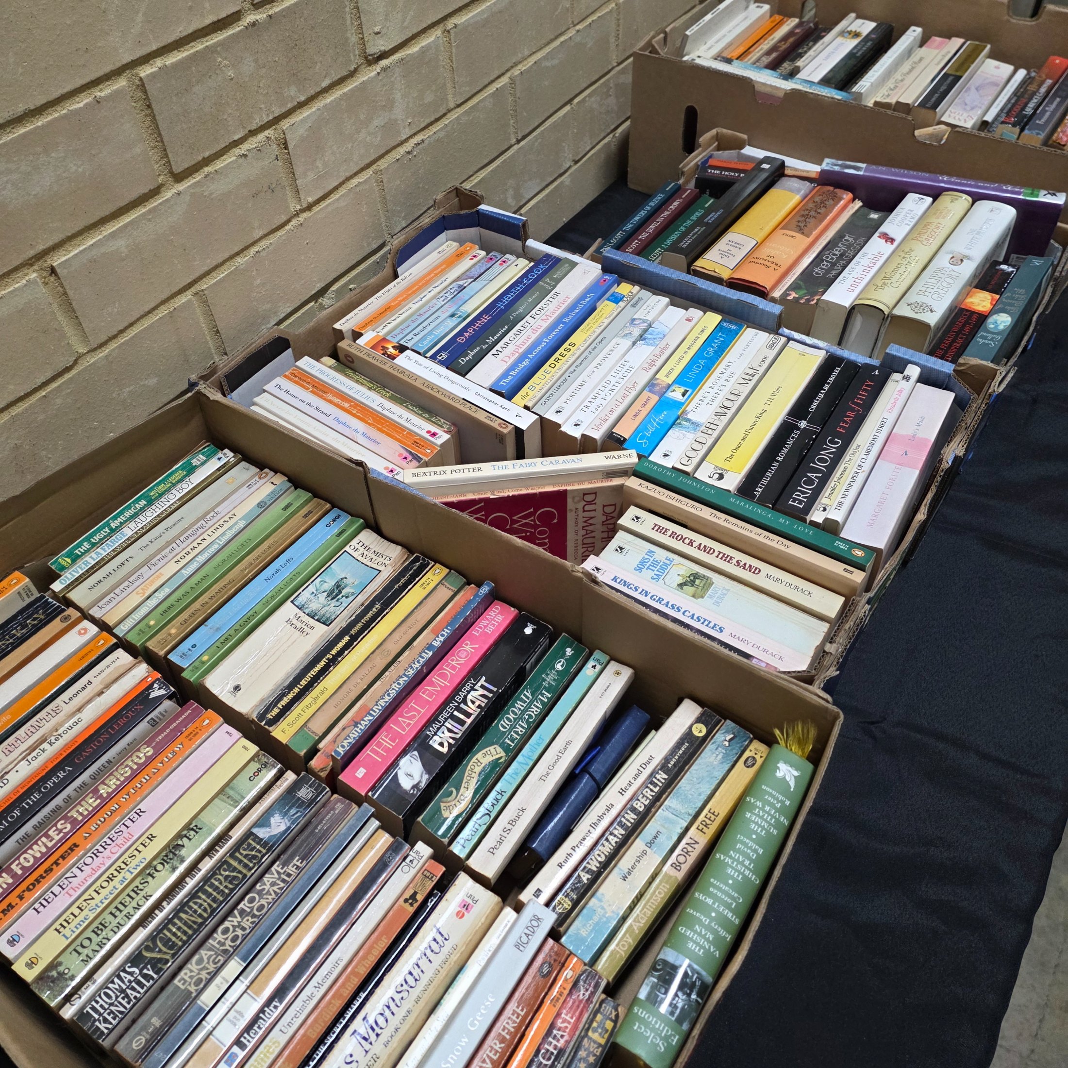 A large collection of assorted paperback and hardcover books, stacked in multiple cardboard boxes.