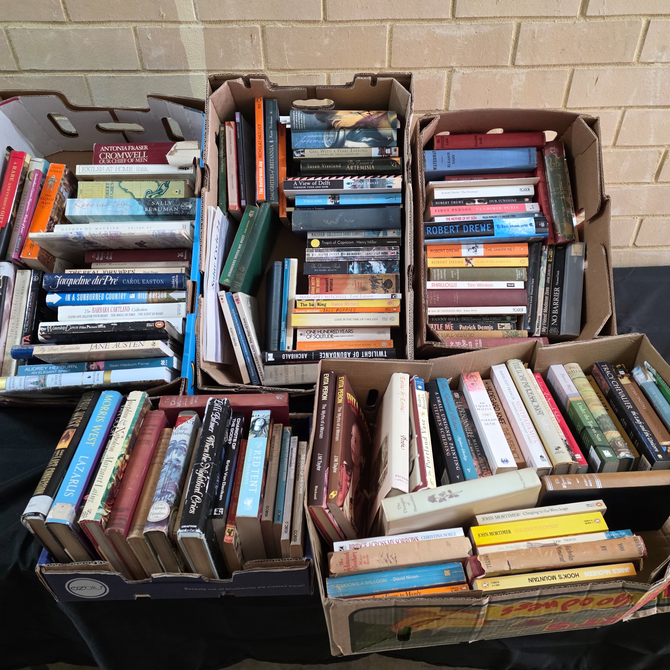 Large Lot of Assorted Fiction and Non-Fiction Books — Lot 036, photograph 1