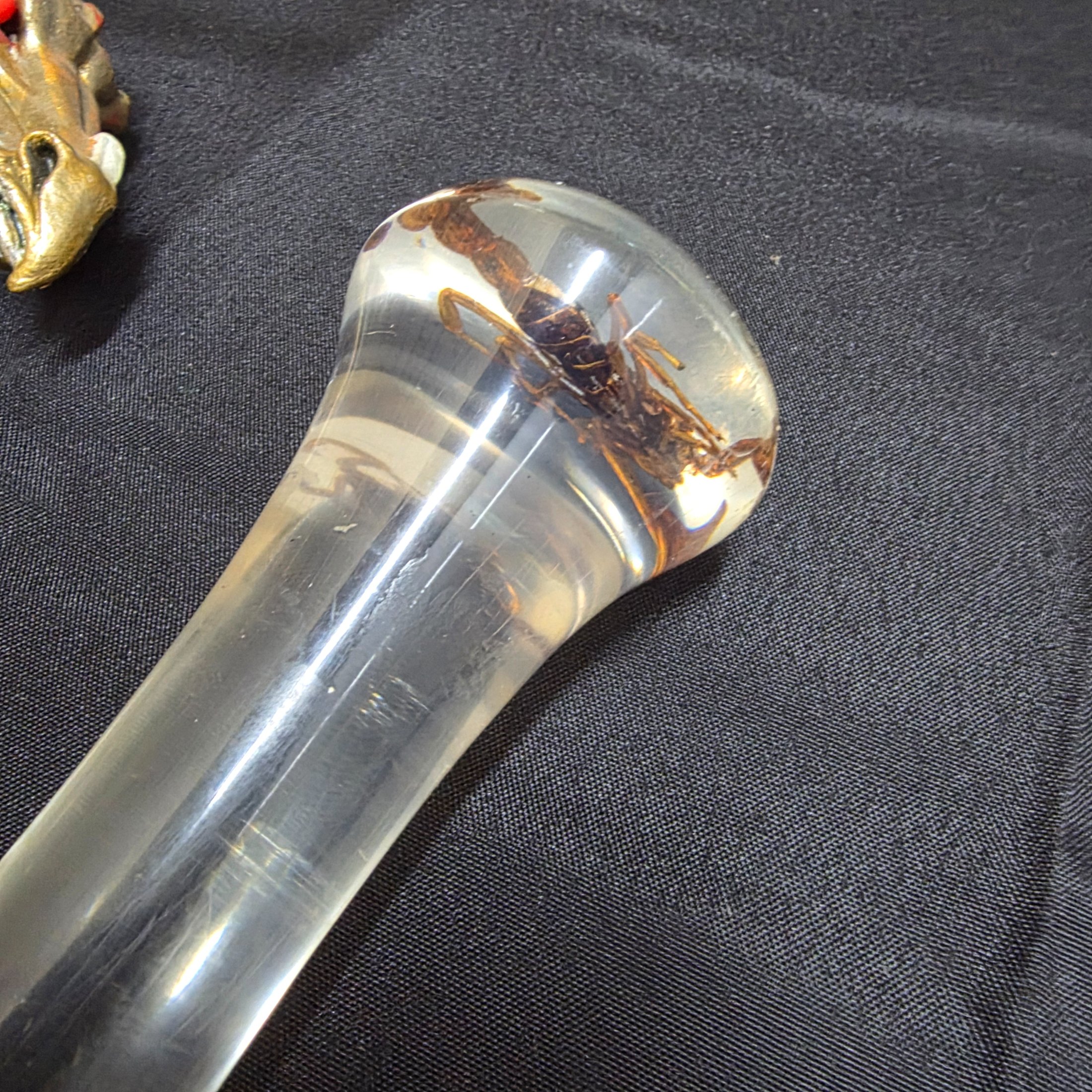 A collection of three vintage decorative walking sticks, featuring a carved wooden handle, a dragon-head handle, and a clear resin handle with an embedded scorpion. - View 5