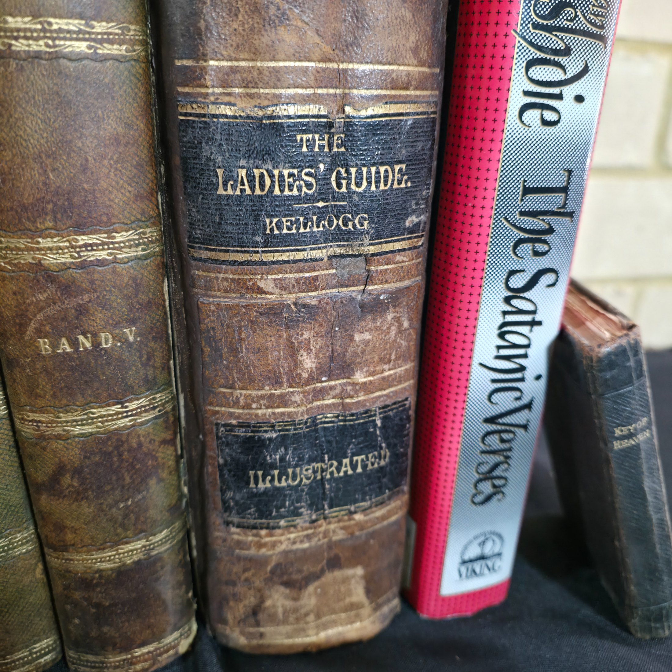 A diverse collection of approximately twelve vintage and antique books spanning various genres and eras, including history, literature, health, and natural history. - View 2