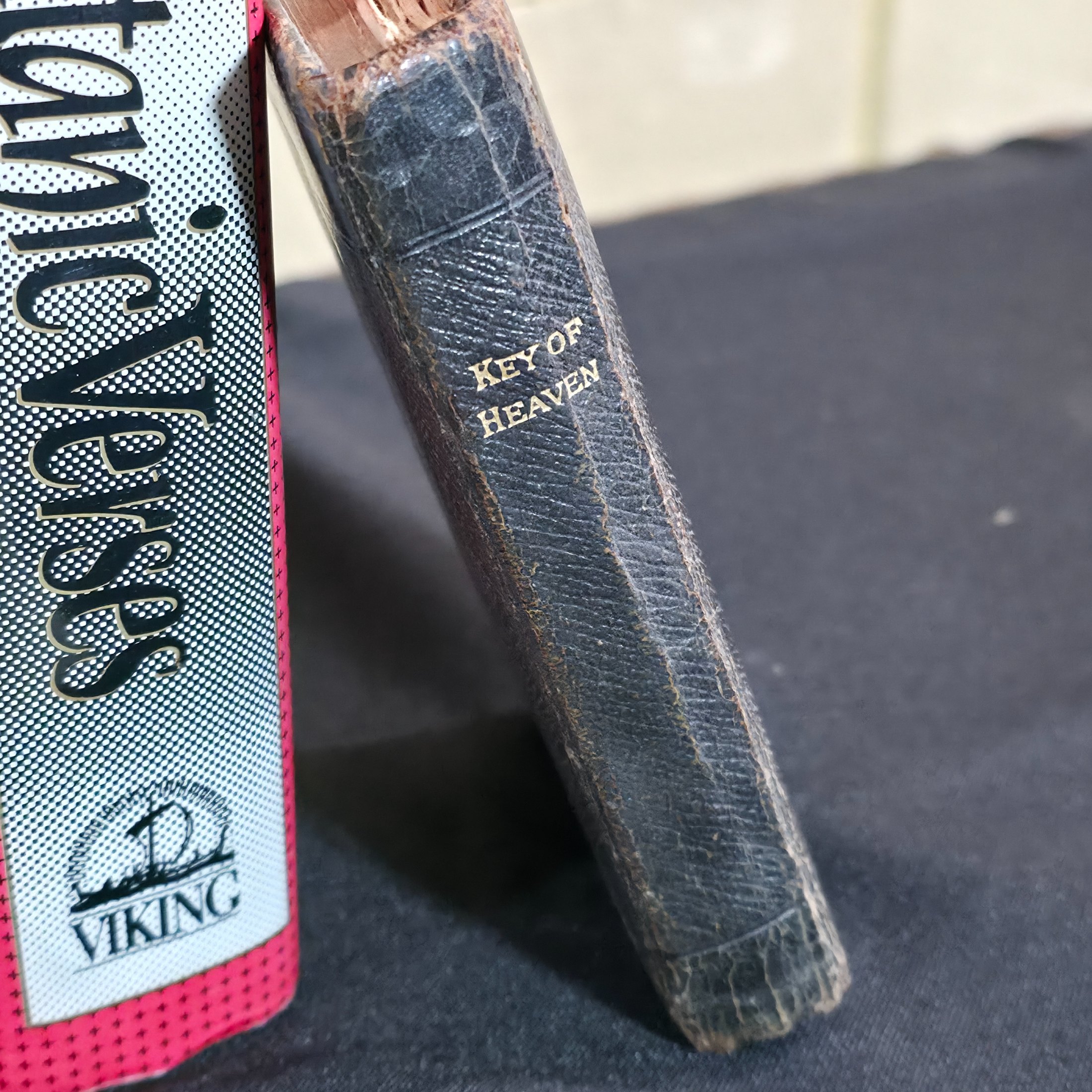 A diverse collection of approximately twelve vintage and antique books spanning various genres and eras, including history, literature, health, and natural history. - View 3