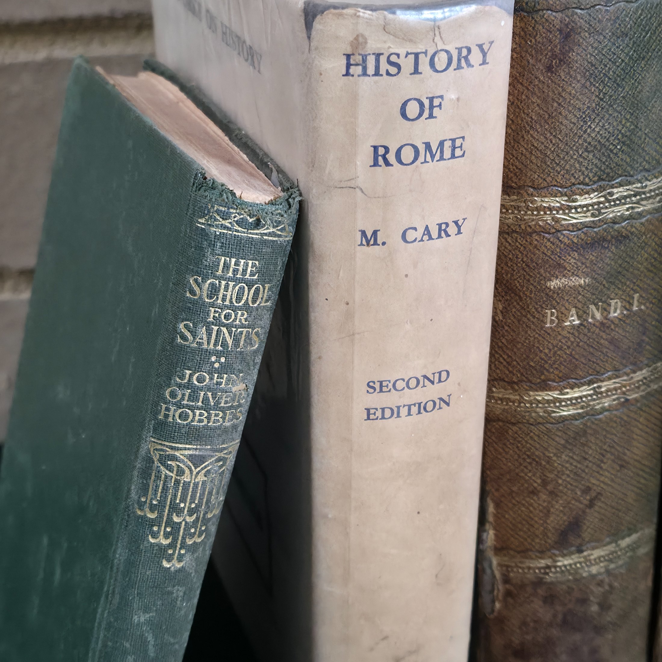 A diverse collection of approximately twelve vintage and antique books spanning various genres and eras, including history, literature, health, and natural history. - View 4