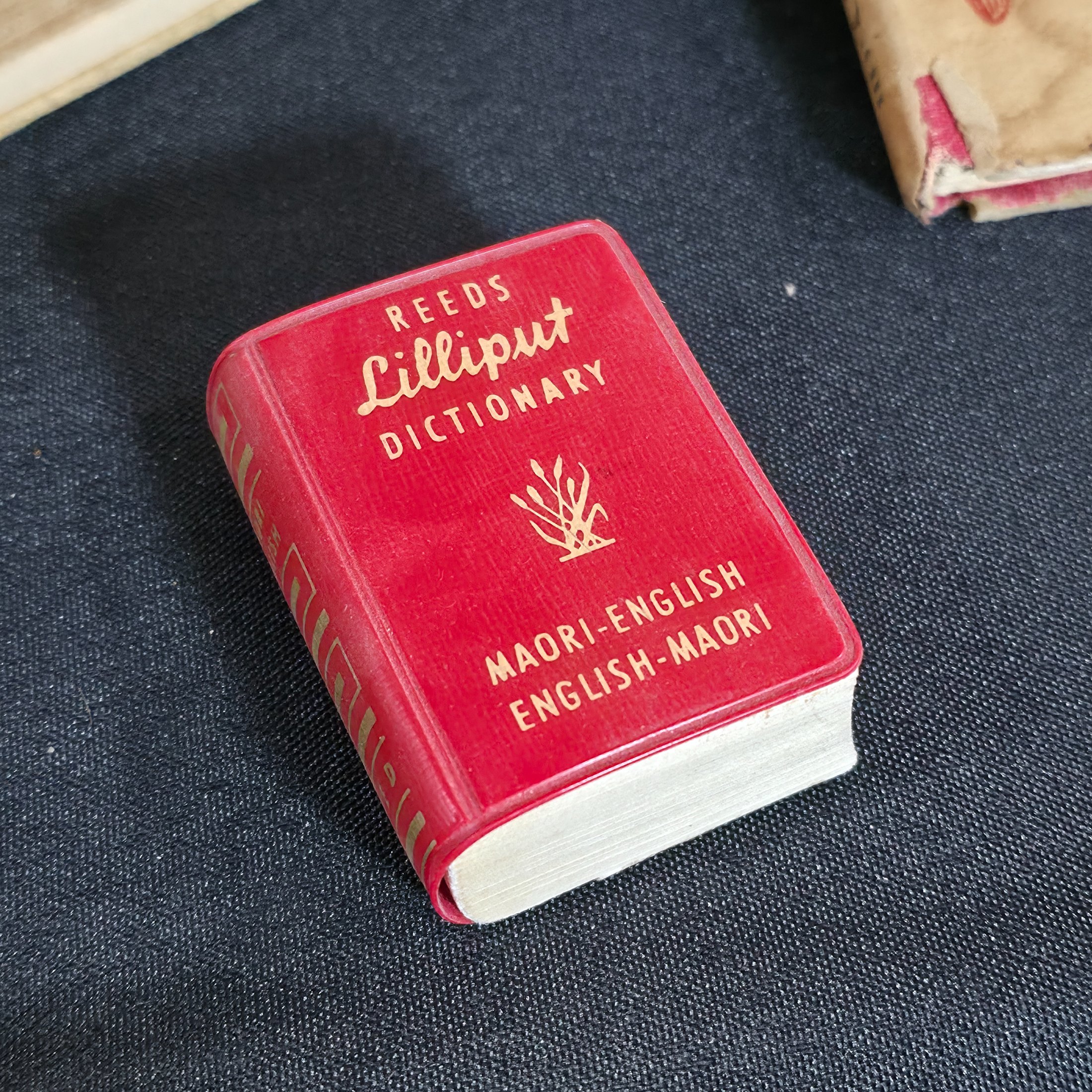 A diverse collection of approximately twelve vintage and antique books spanning various genres and eras, including history, literature, health, and natural history. - View 6