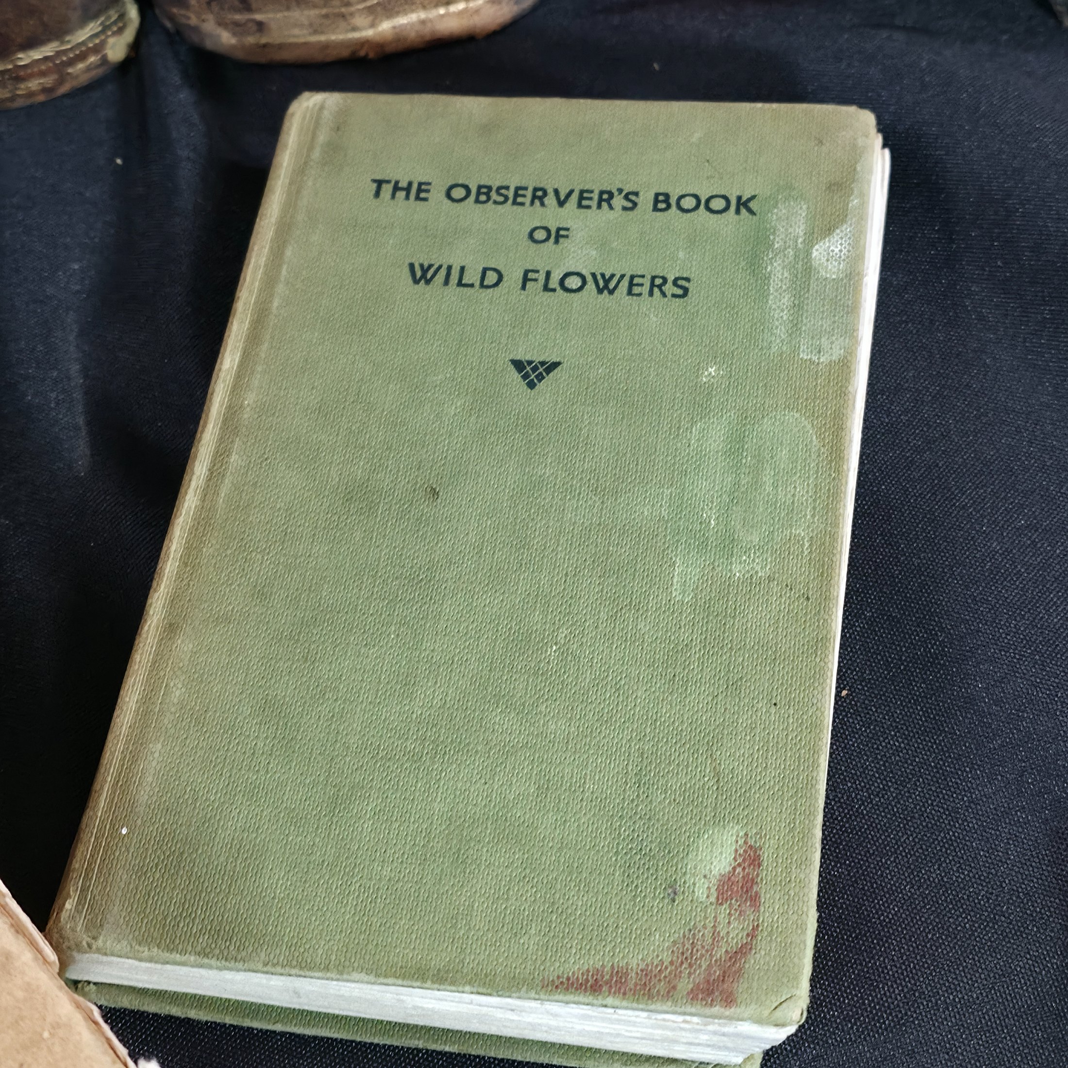 A diverse collection of approximately twelve vintage and antique books spanning various genres and eras, including history, literature, health, and natural history. - View 8
