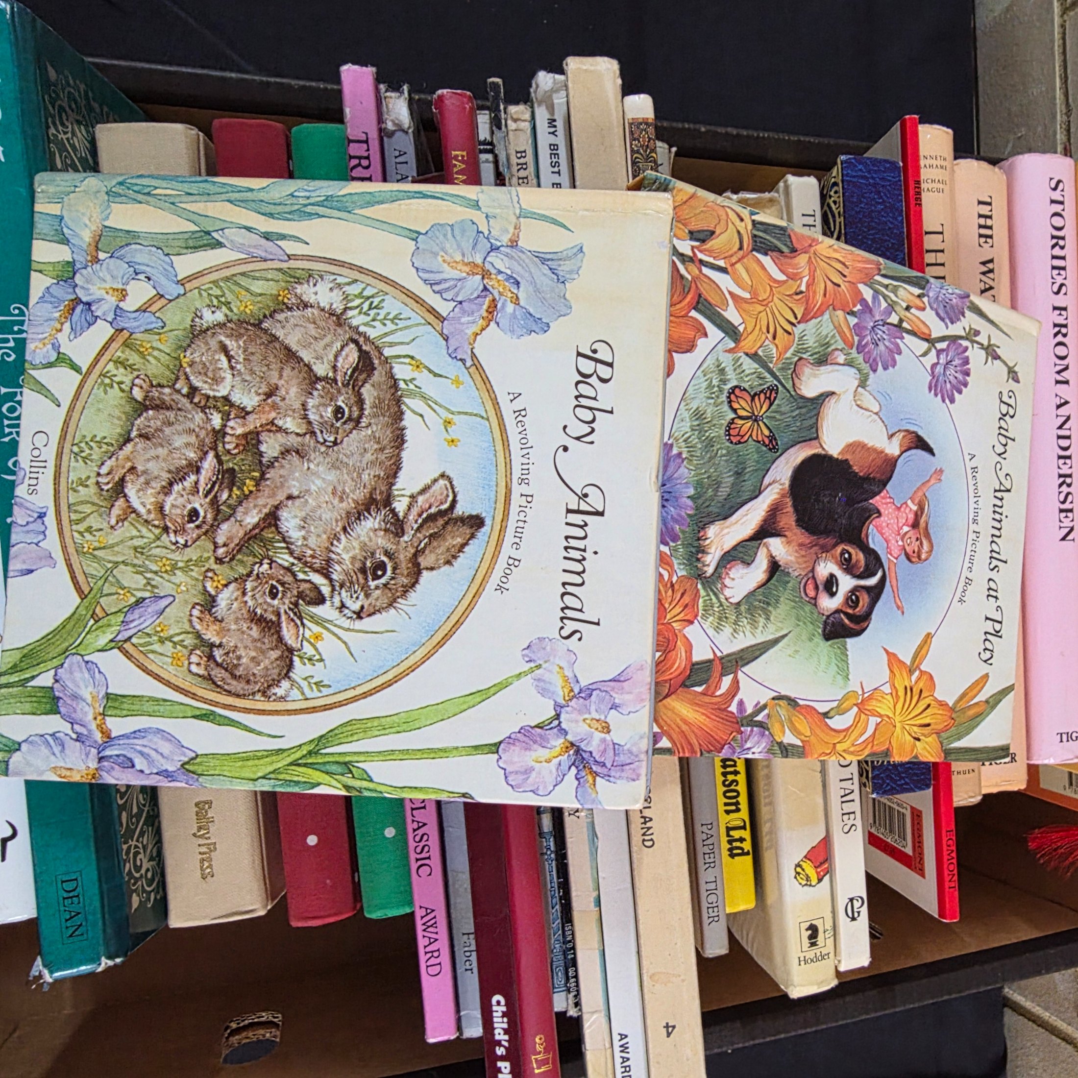 Box Lot Collection of Assorted Children's Classic Books: C.S. Lewis, Beatrix Potter... — Lot 122, photograph 3