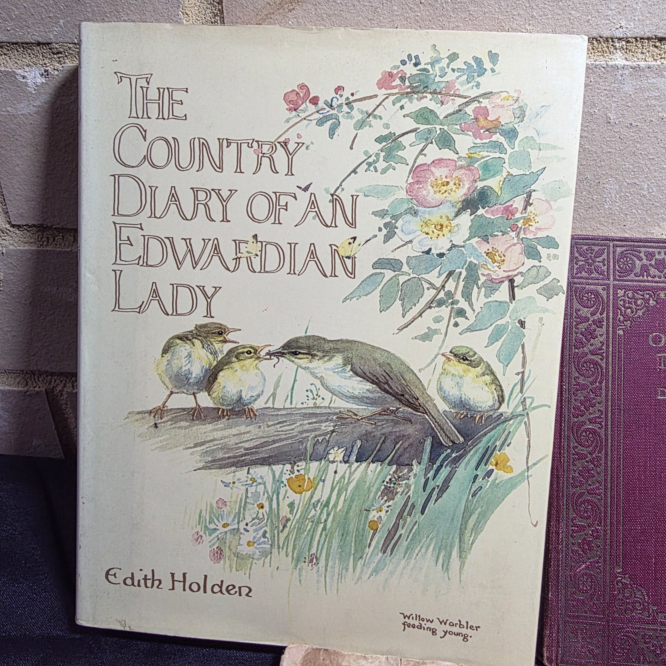 Lot of Assorted Vintage and Antiquarian Fiction & Non fiction Books — Lot 137, photograph 5