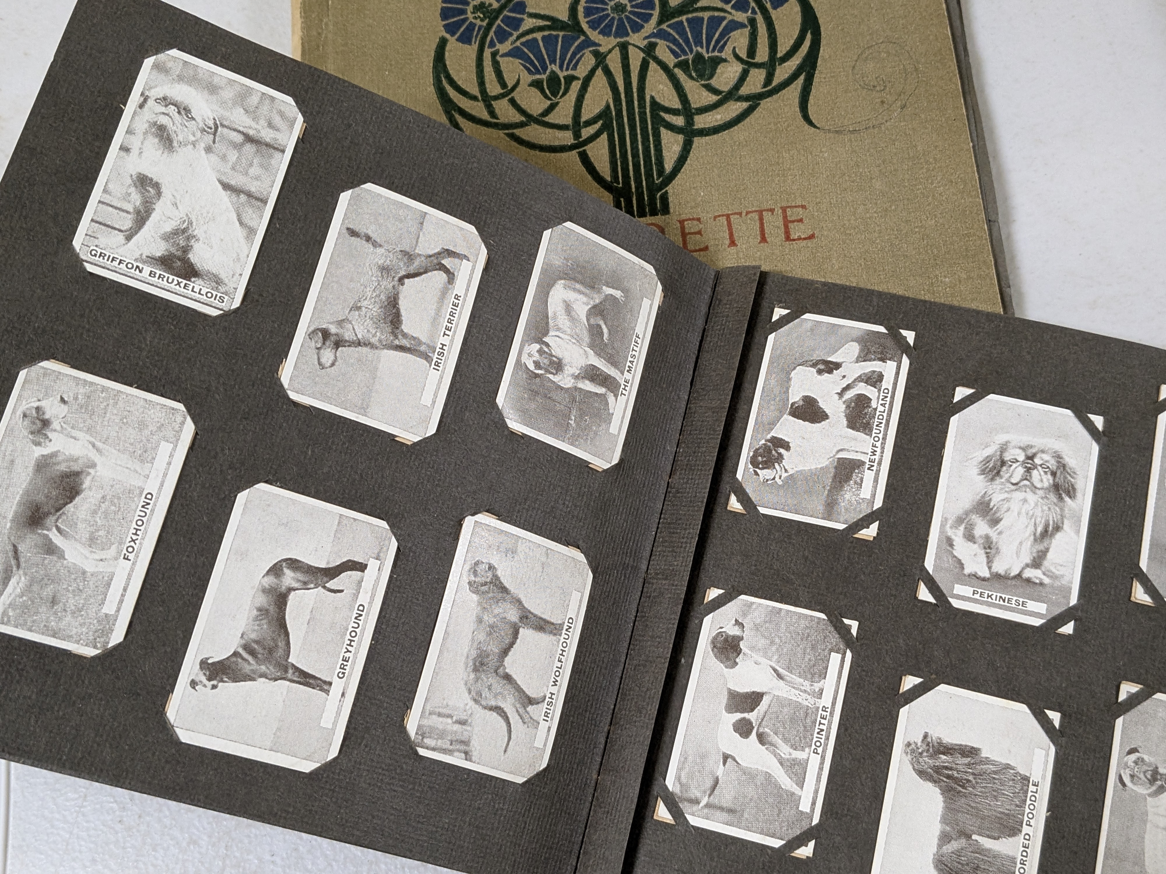 A vintage Sweetacres 'Champion Cards' album, an intriguing piece of early 20th-century Australian collectable ephemera, featuring various celebrity portraits and sporting figures from its era. - View 5