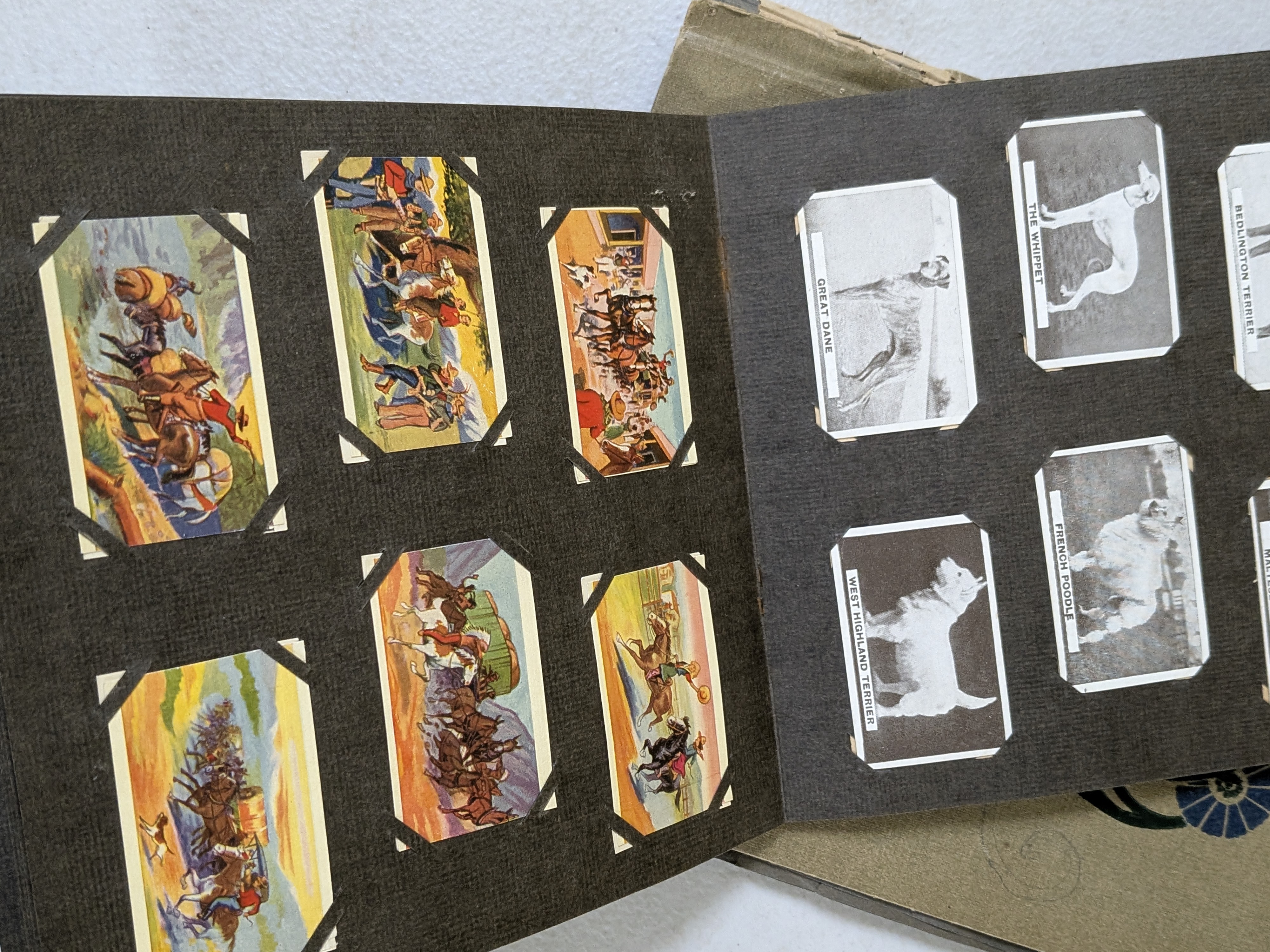 A vintage Sweetacres 'Champion Cards' album, an intriguing piece of early 20th-century Australian collectable ephemera, featuring various celebrity portraits and sporting figures from its era. - View 6