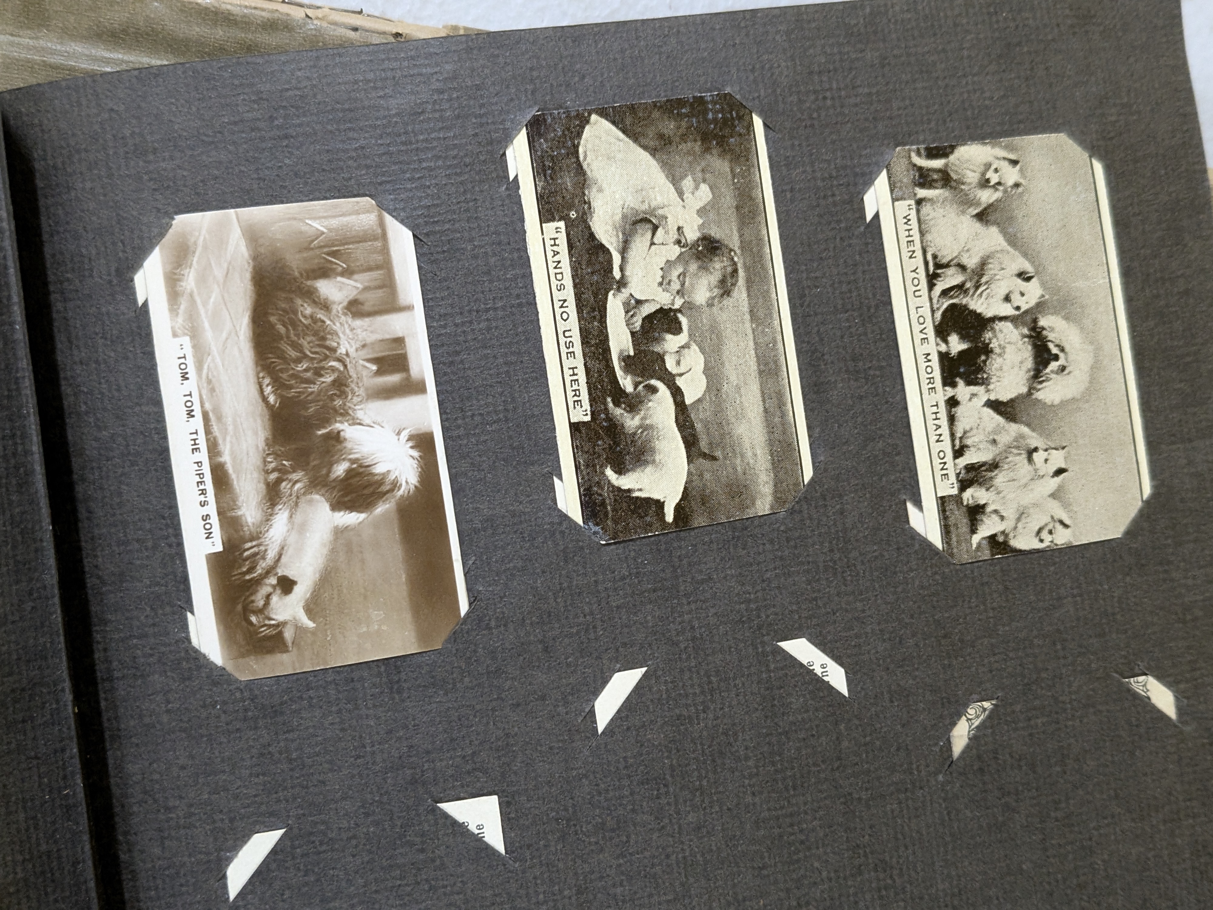 A vintage Sweetacres 'Champion Cards' album, an intriguing piece of early 20th-century Australian collectable ephemera, featuring various celebrity portraits and sporting figures from its era. - View 8