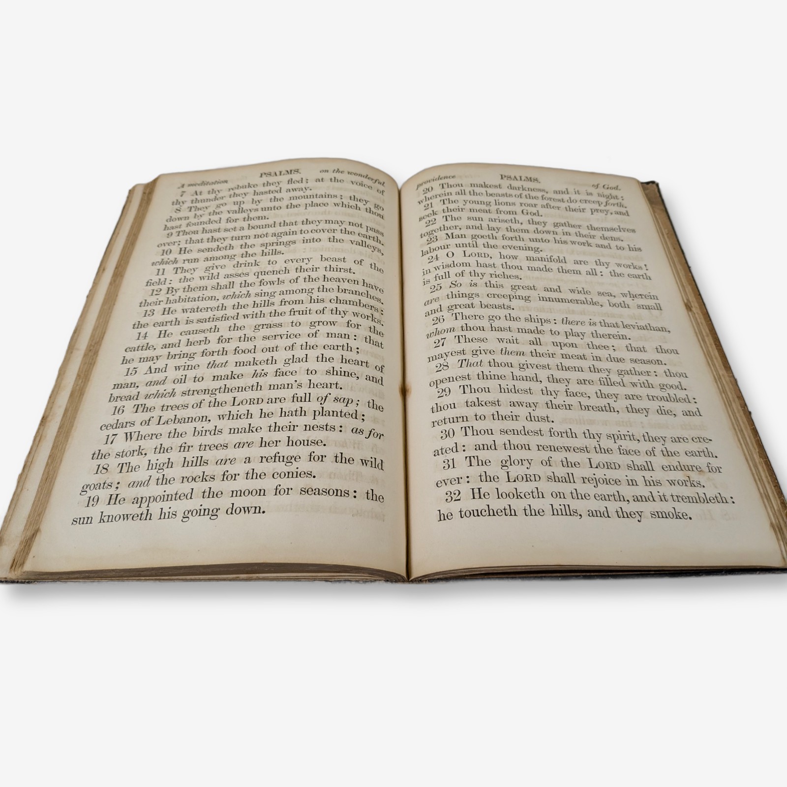 The Book of Psalms, Published 1855 by British and Foreign Bible Society — Lot 101, photograph 3