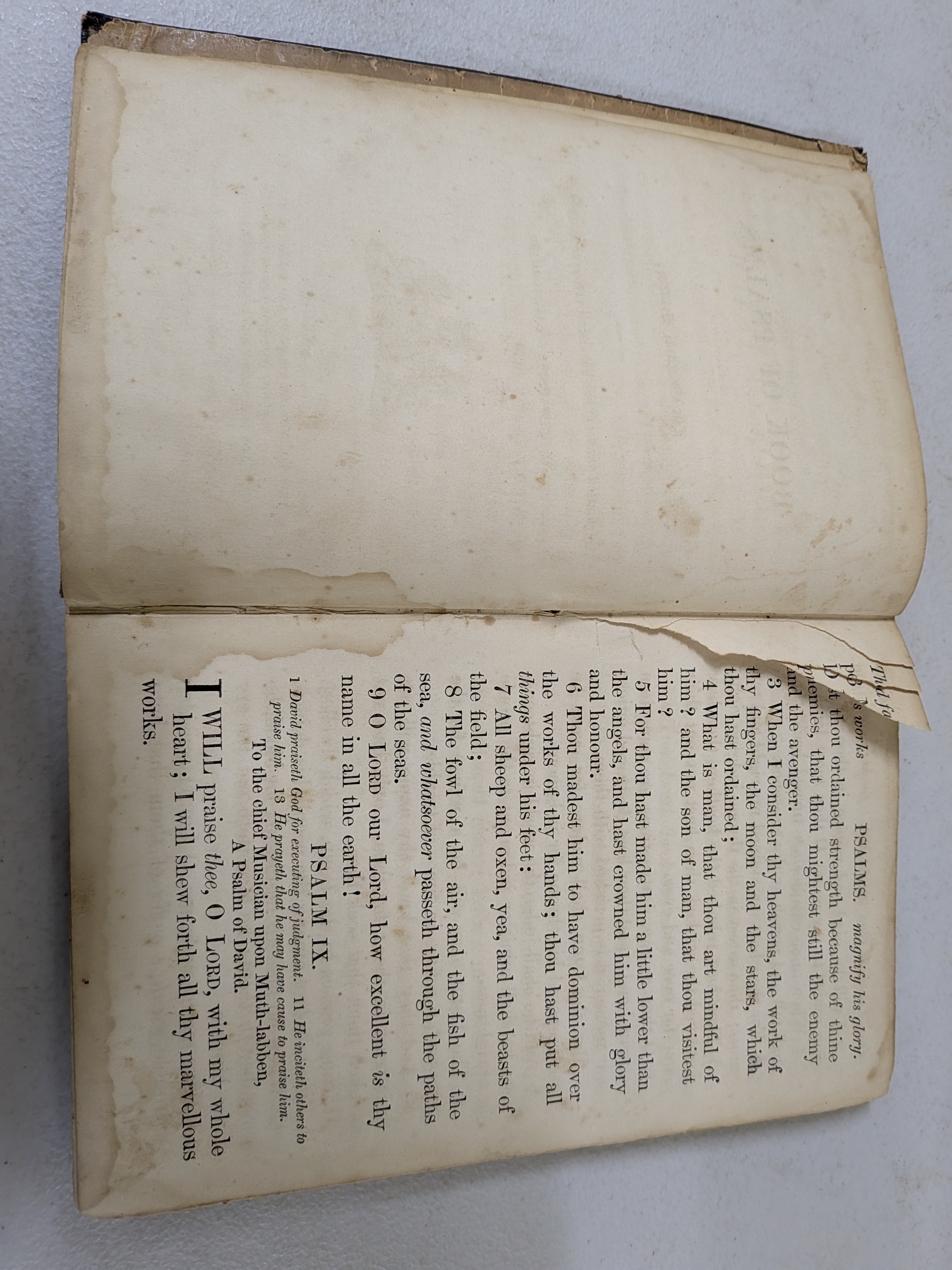 The Book of Psalms, Published 1855 by British and Foreign Bible Society — Lot 101, photograph 4